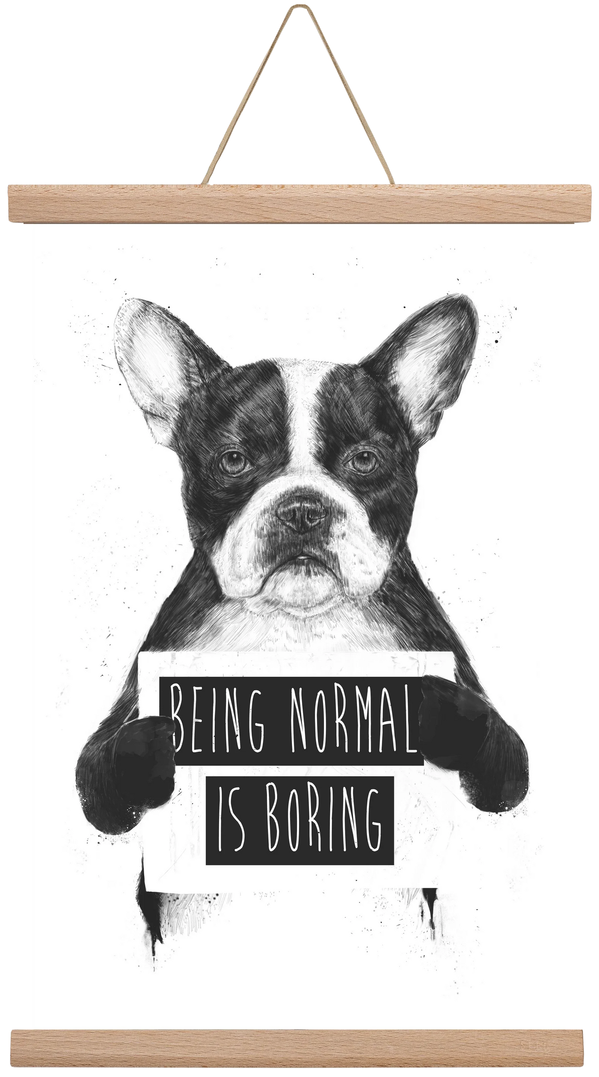 Being normal is boring - artbridge