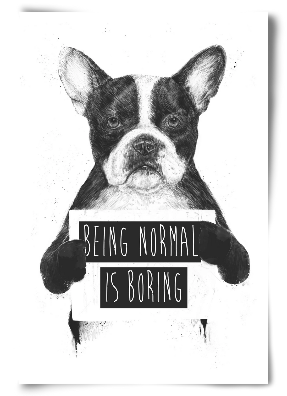 Being normal is boring - artbridge