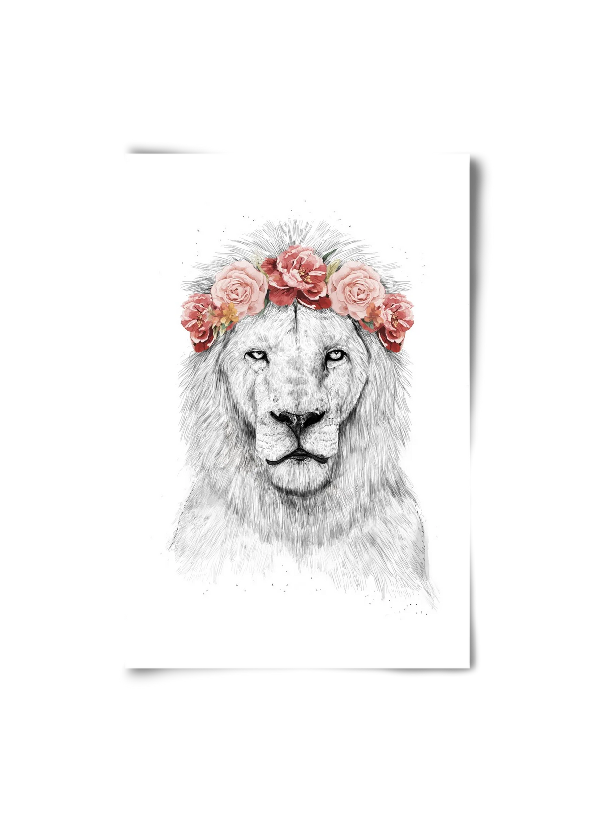 Festival lion - artbridge