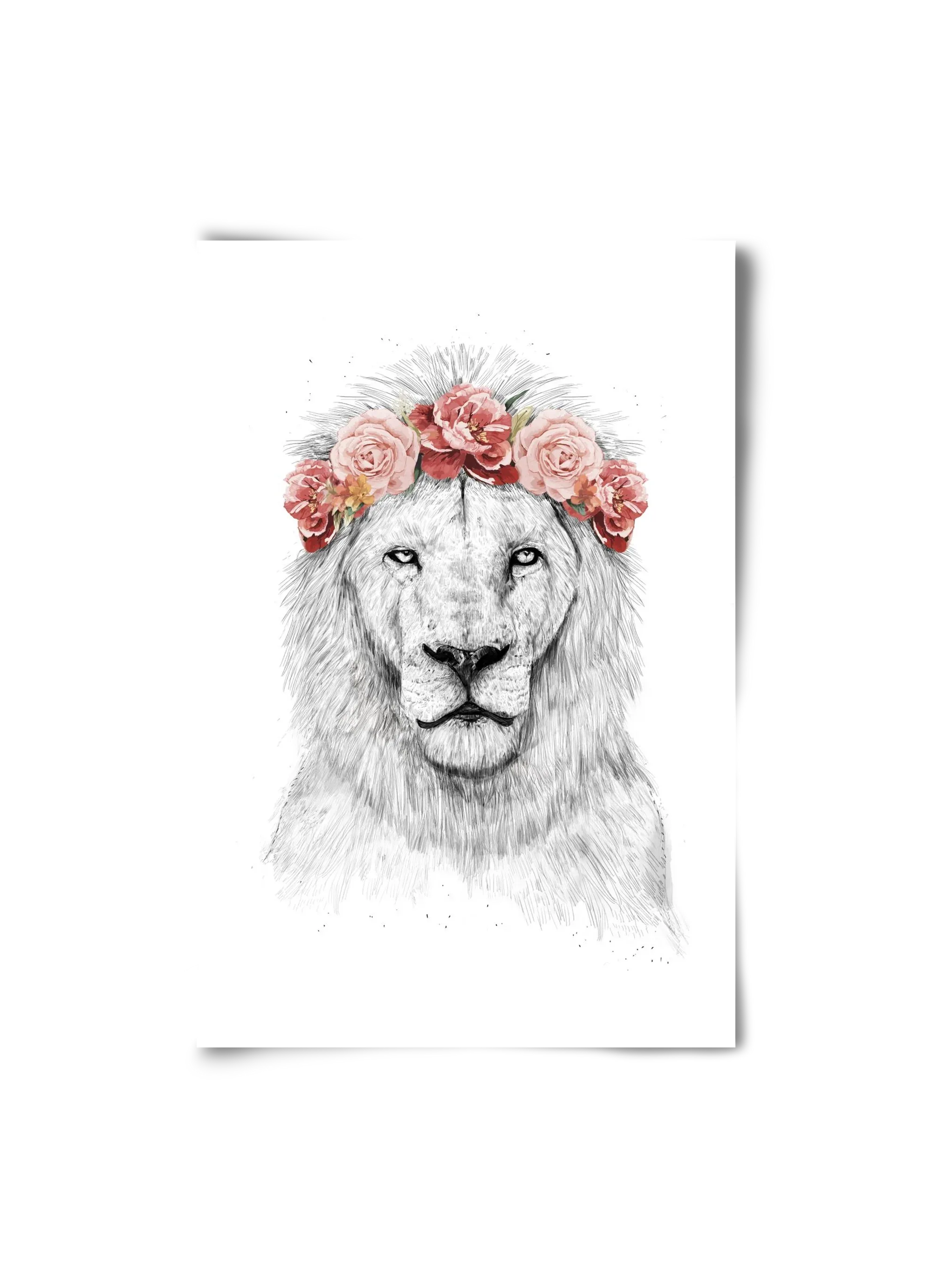 Festival lion - artbridge