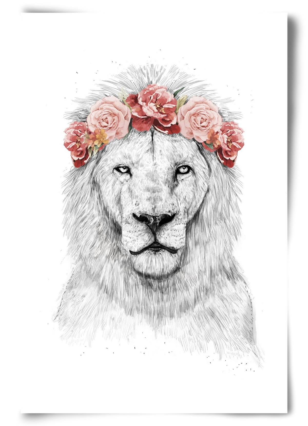 Festival lion - artbridge