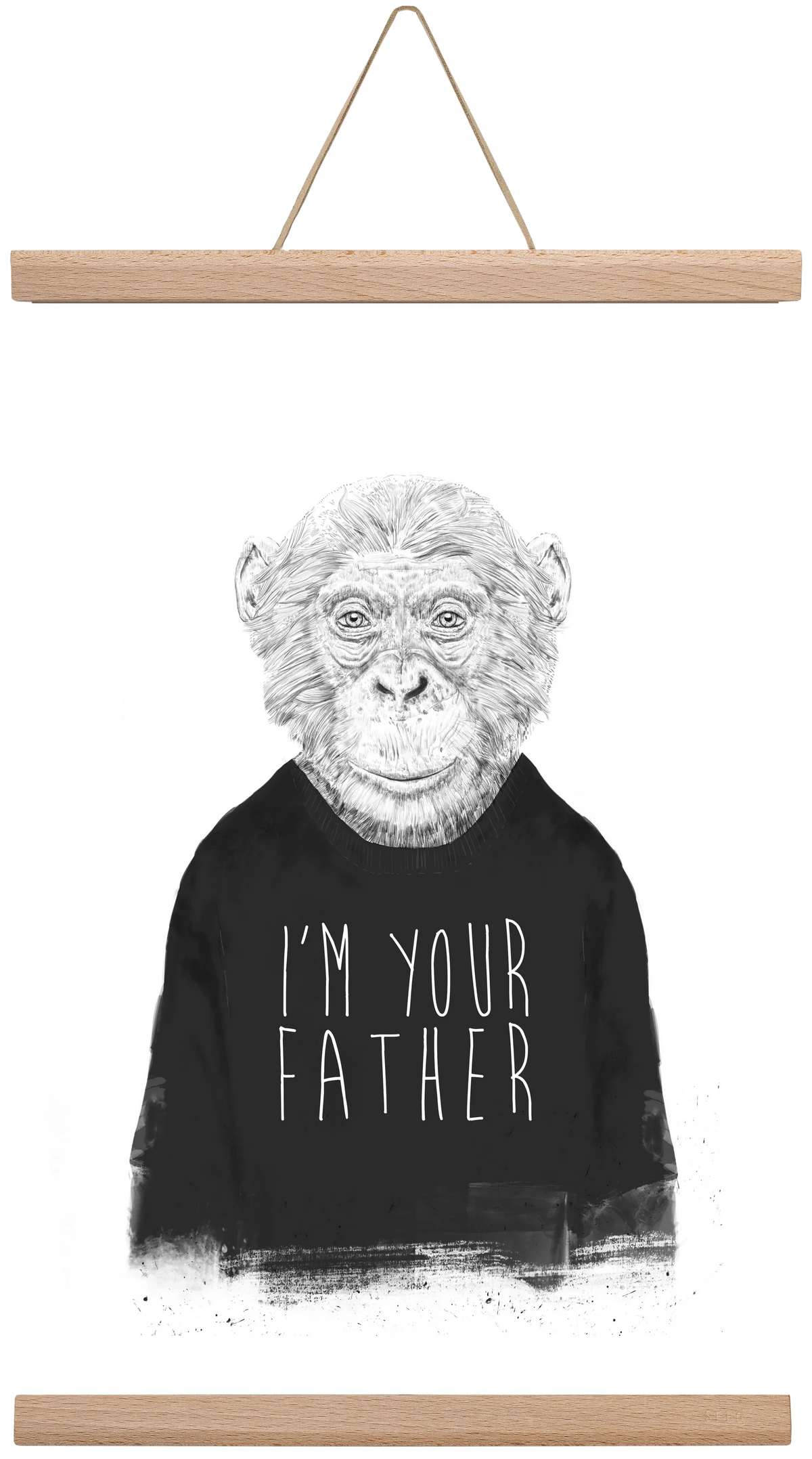 I'm your father - artbridge