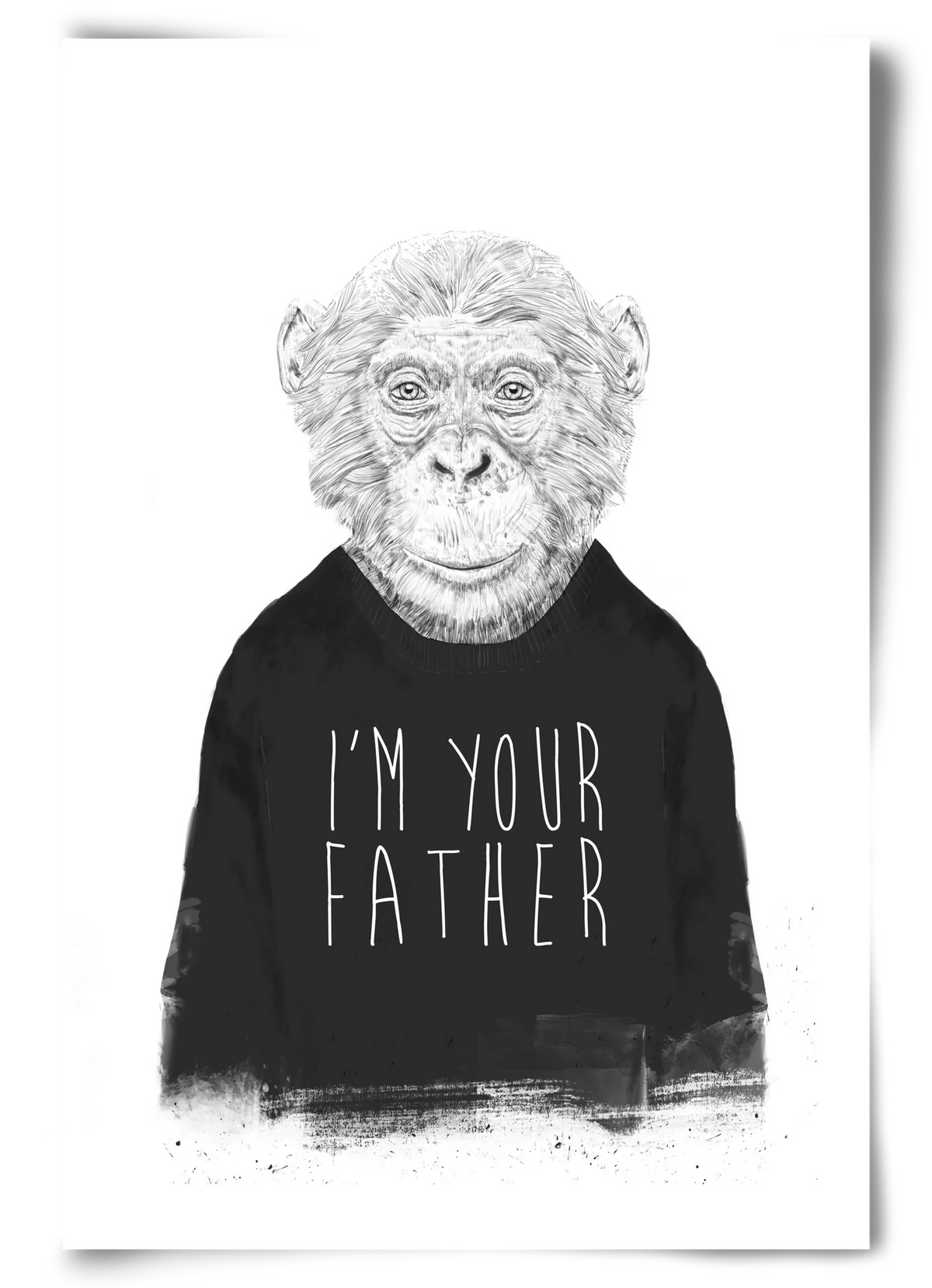 I'm your father - artbridge