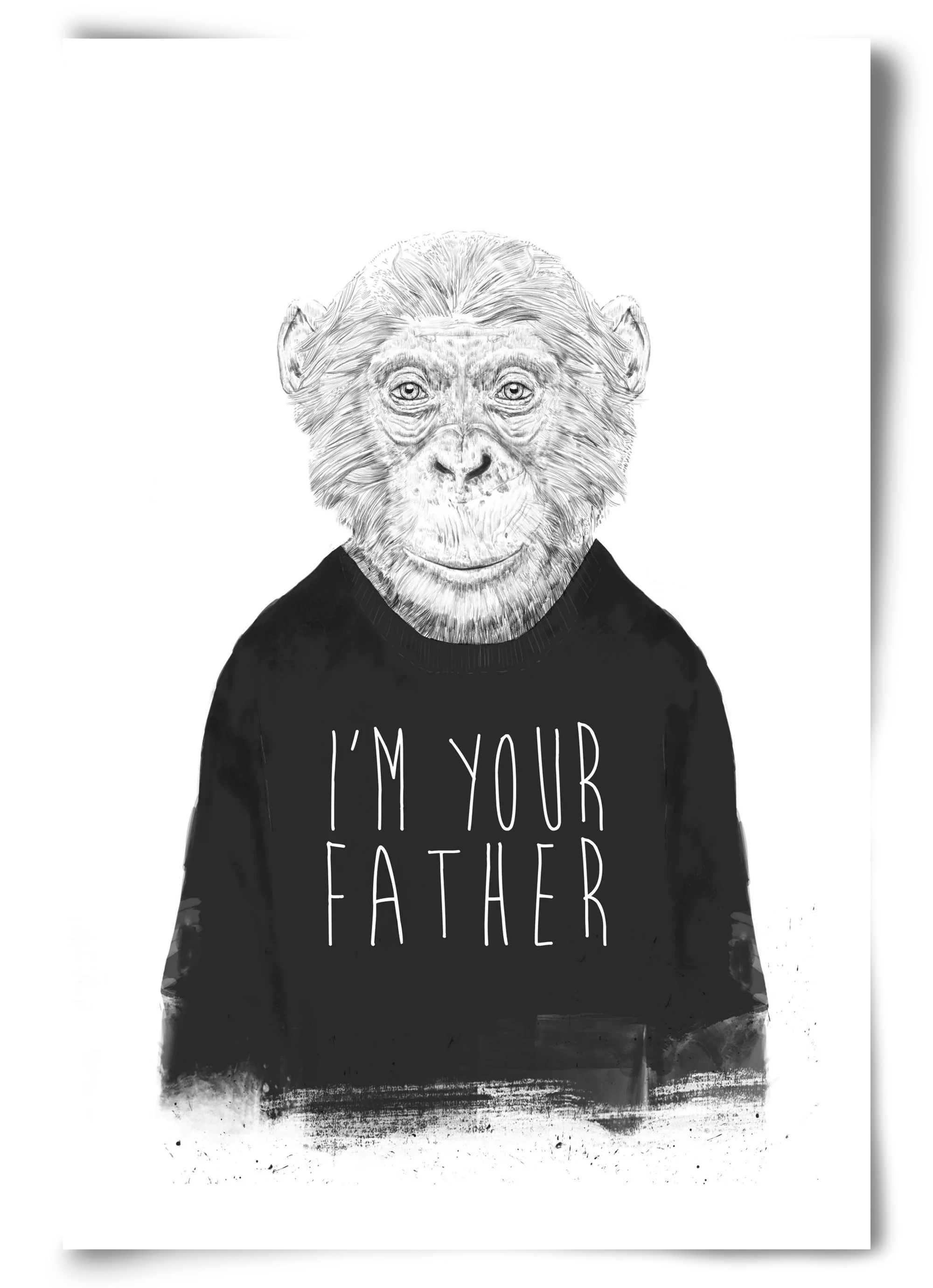 I'm your father - artbridge
