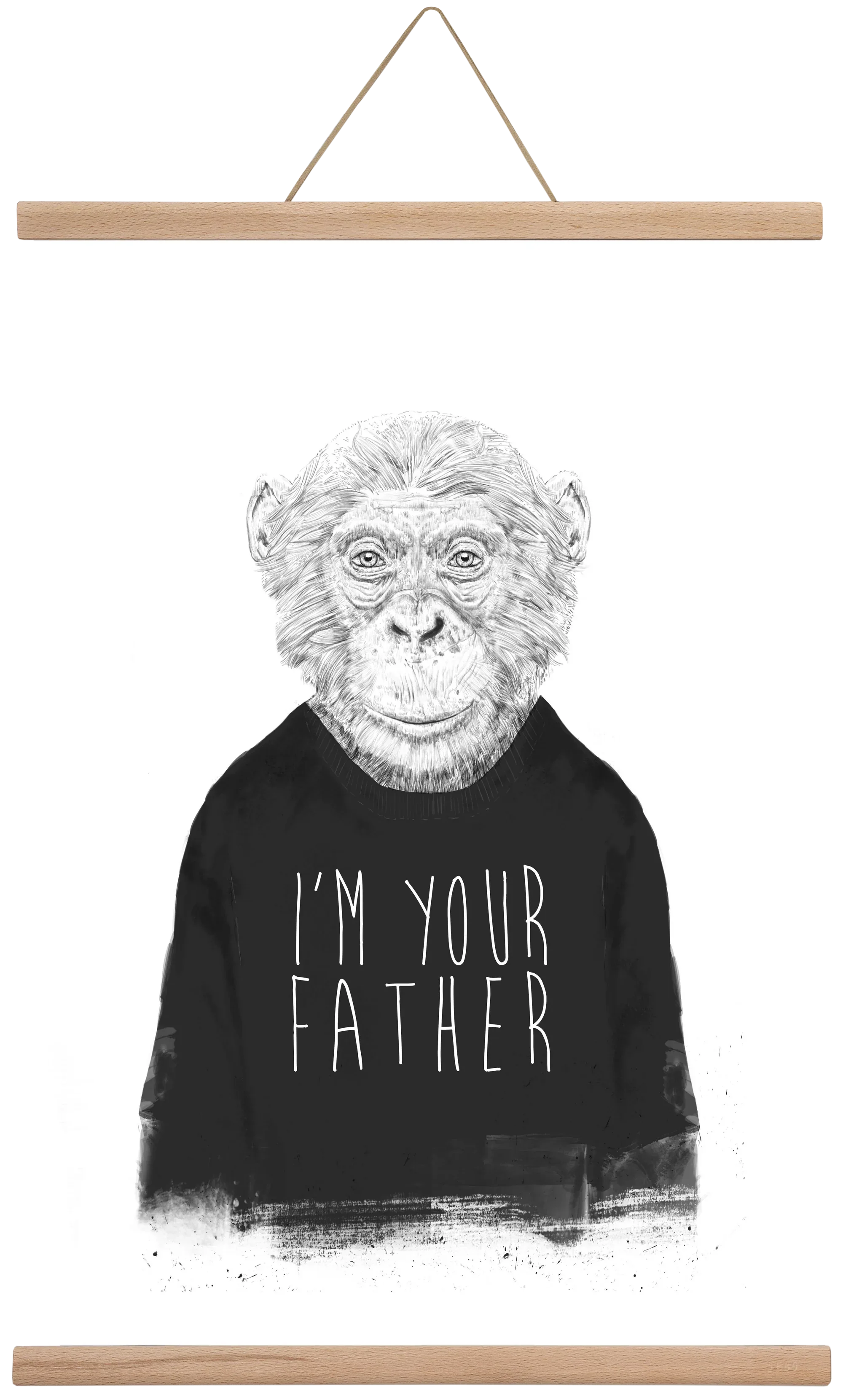 I'm your father - artbridge