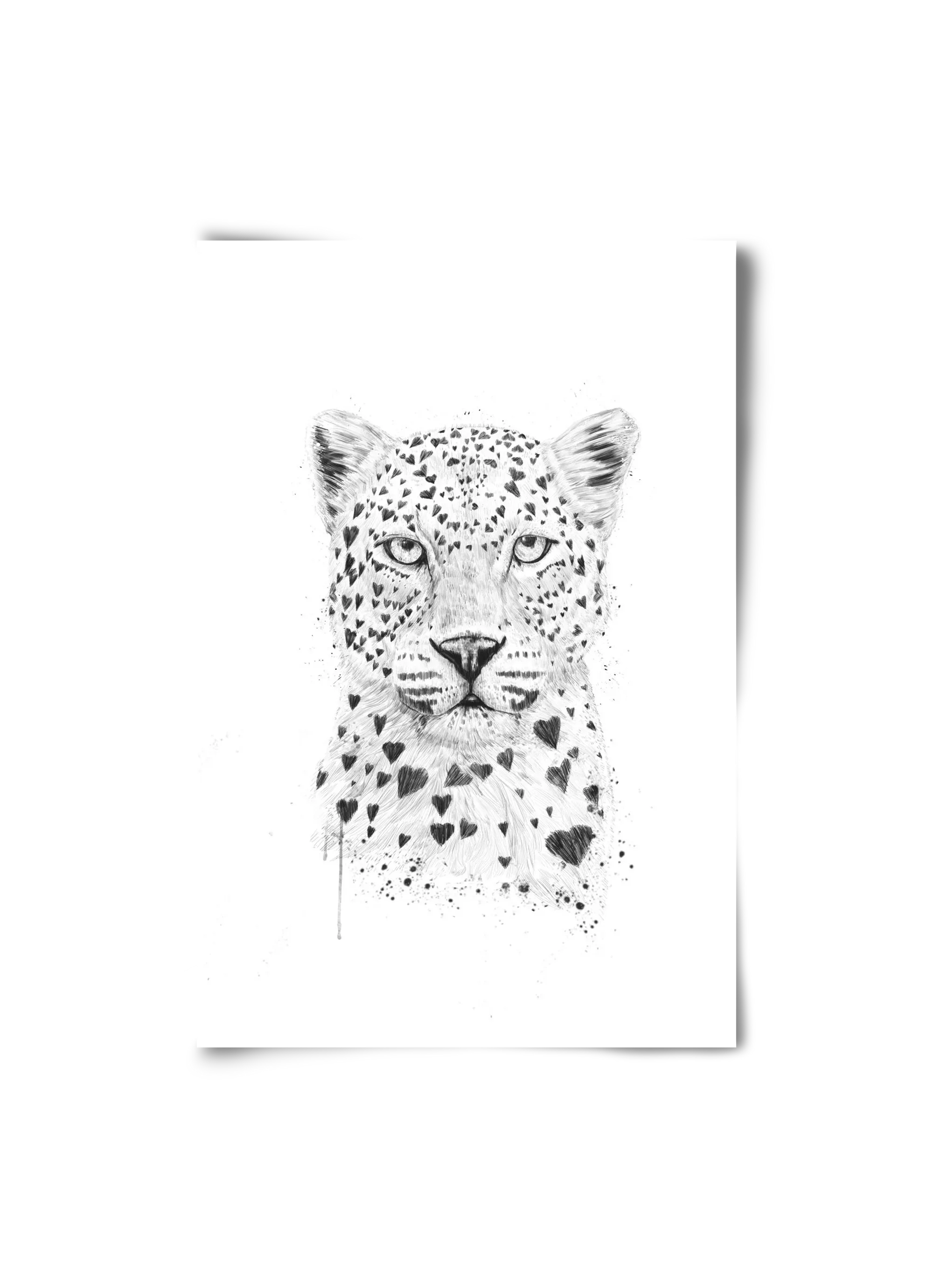Lovely leopard - artbridge