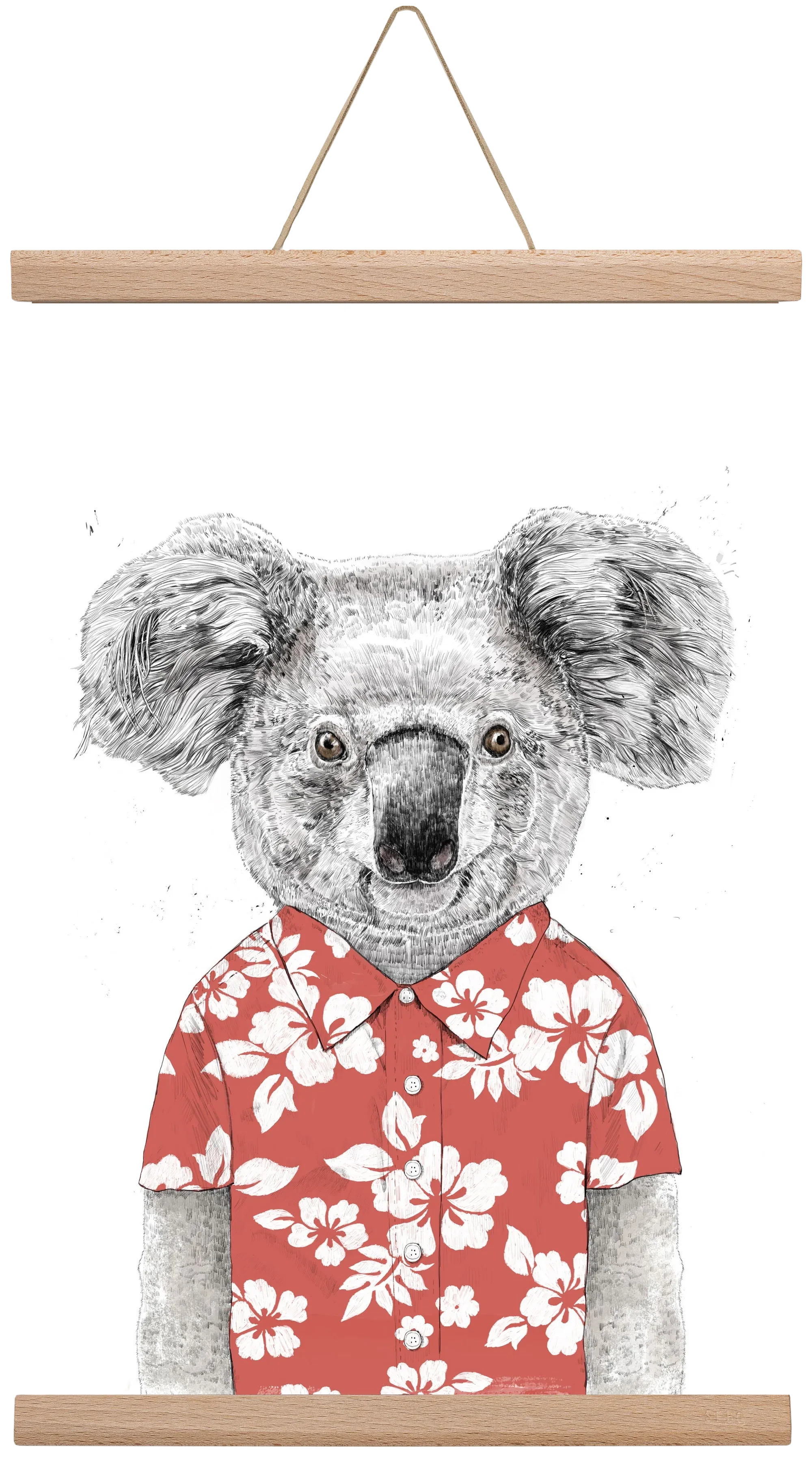 Summer koala (red) - artbridge