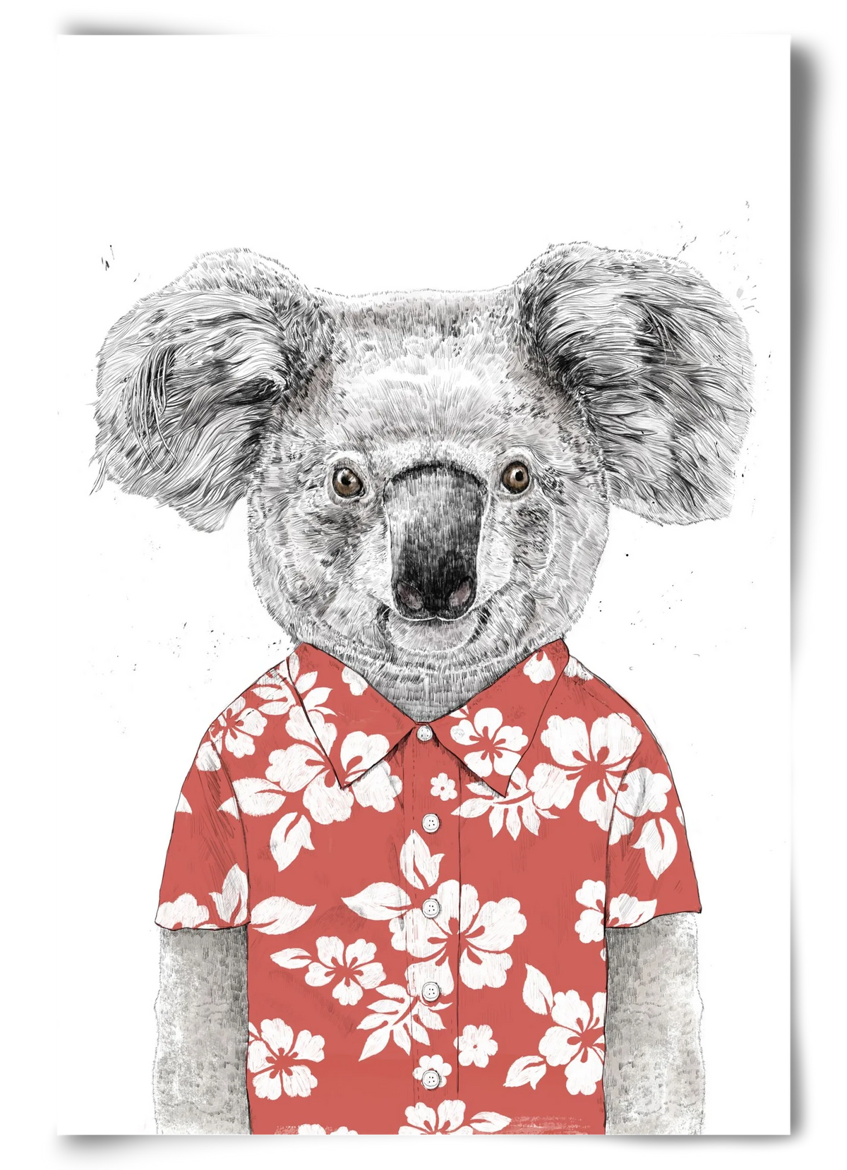Summer koala (red) - artbridge