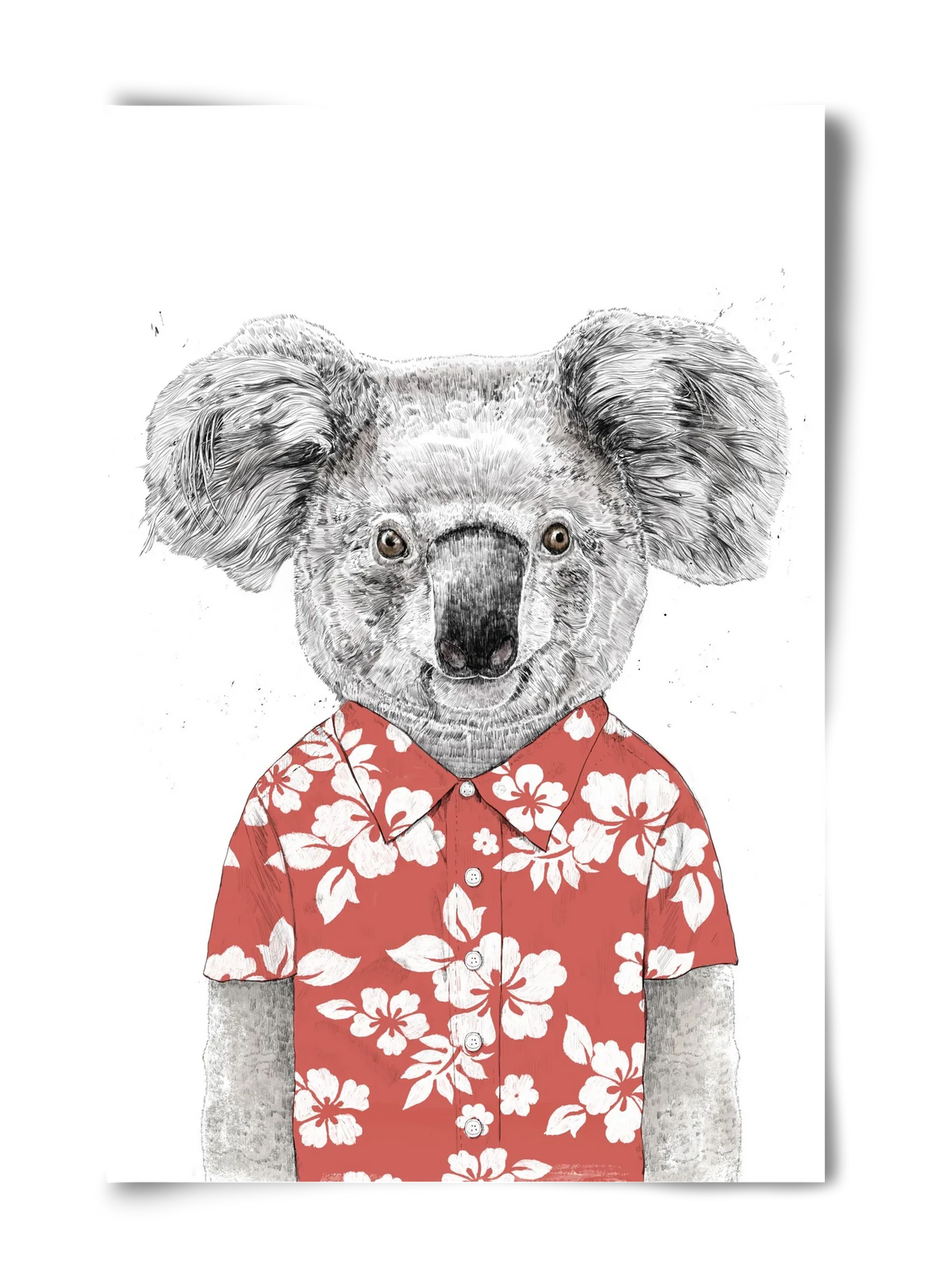 Summer koala (red) - artbridge