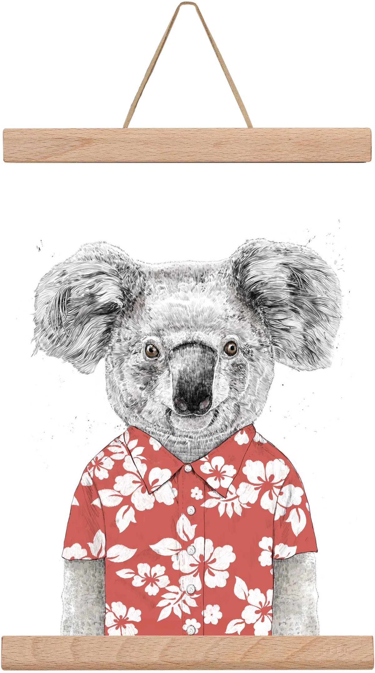 Summer koala (red) - artbridge