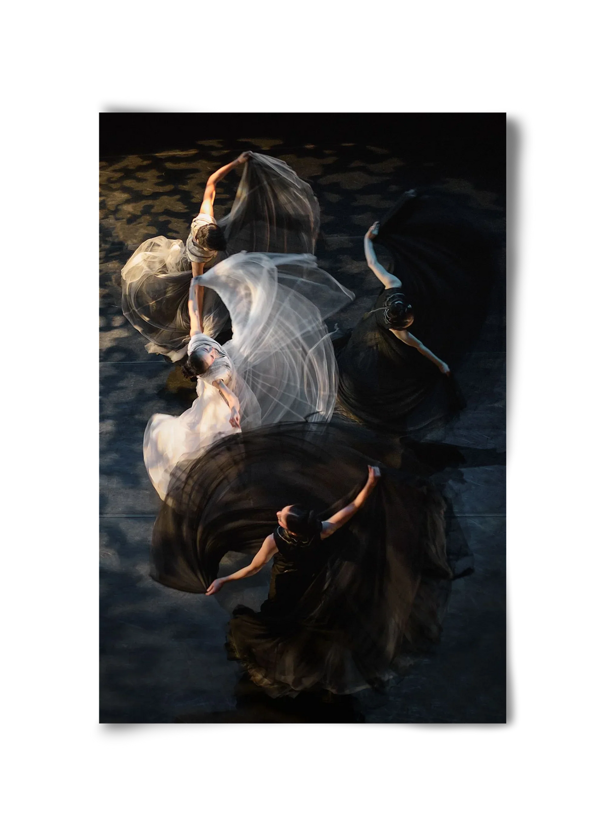 harmony - artbridge
