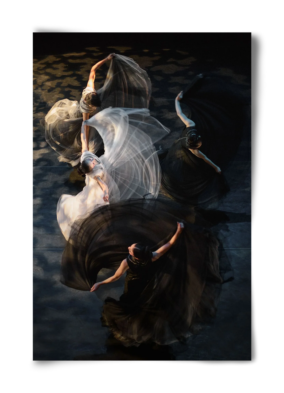 harmony - artbridge