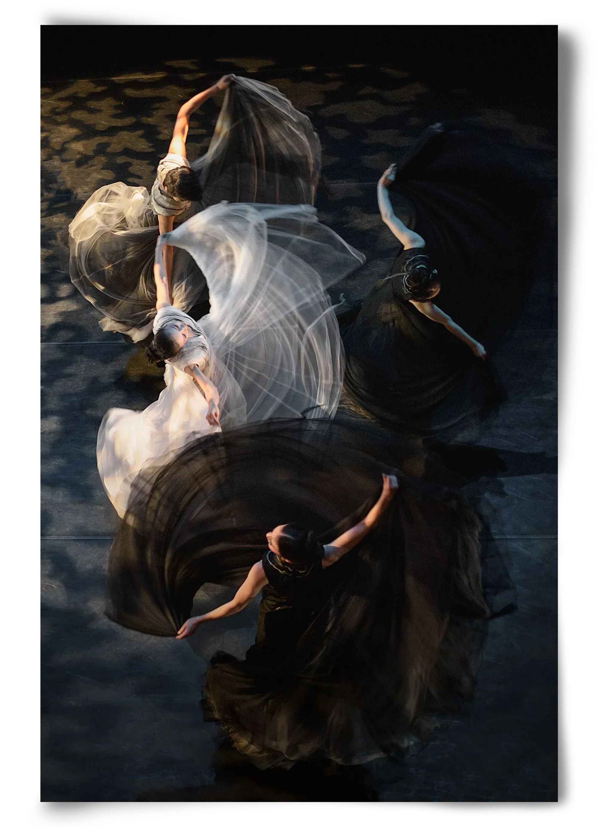 harmony - artbridge