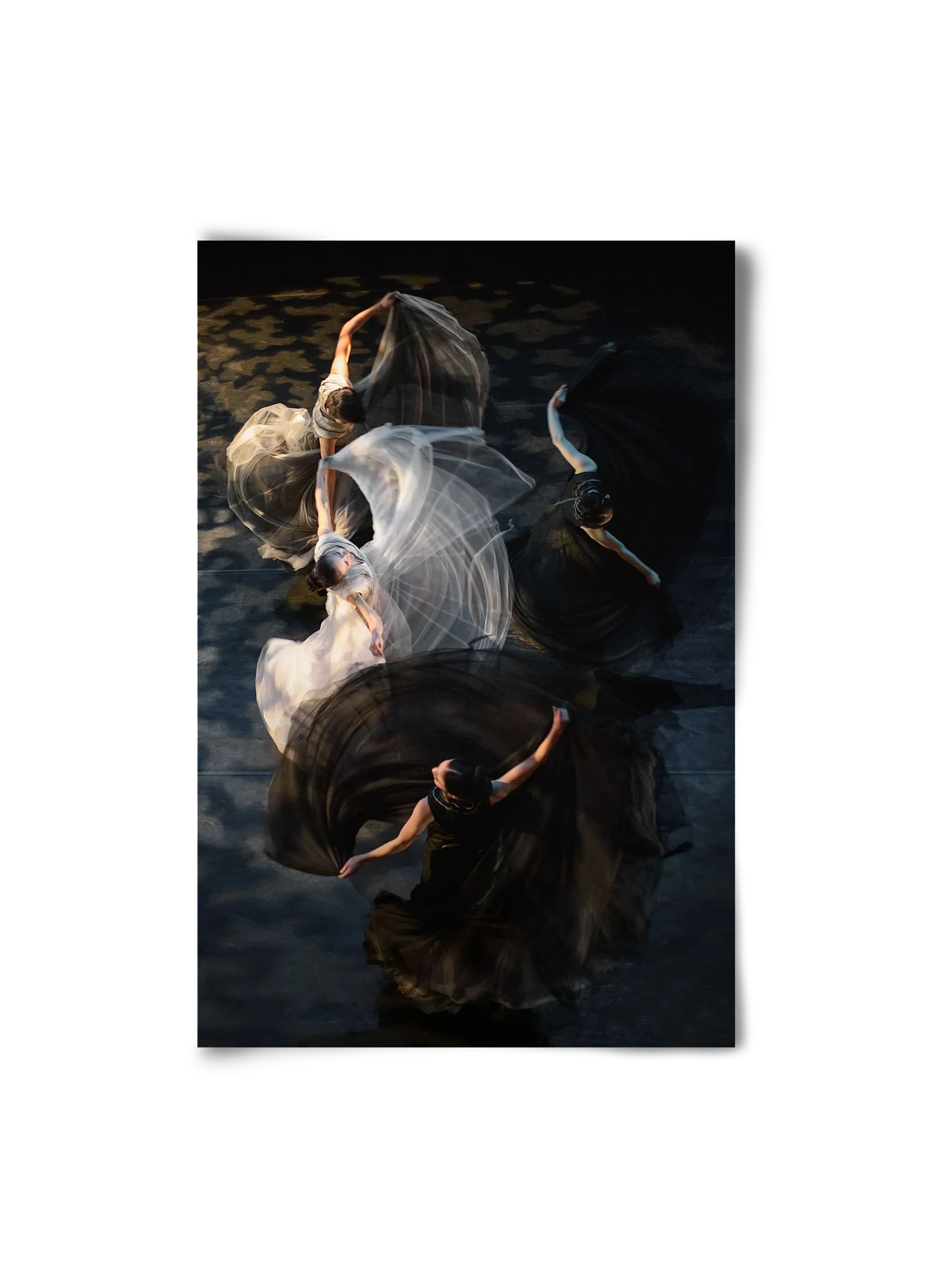 harmony - artbridge