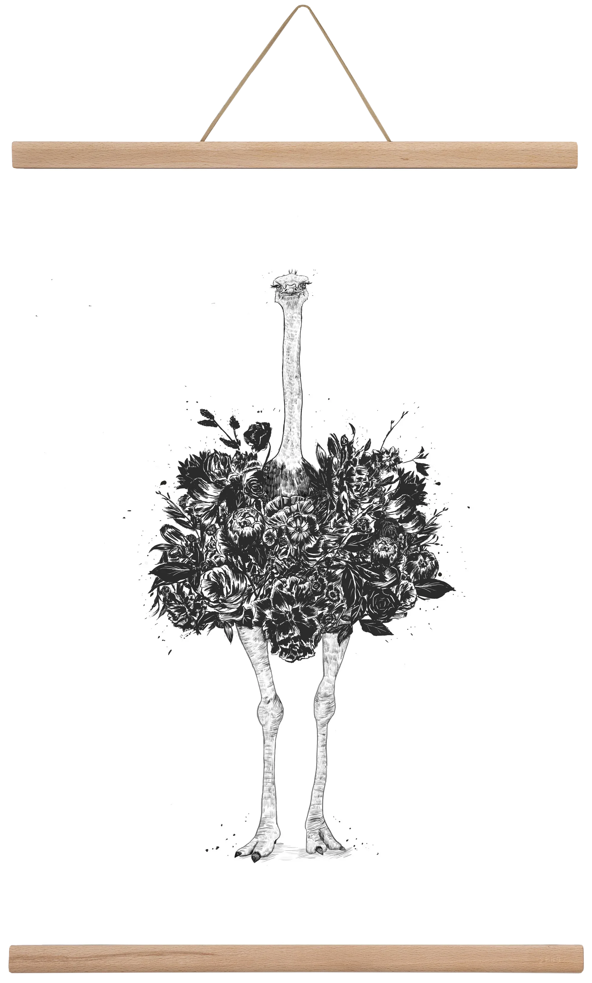 Floral ostrich - artbridge