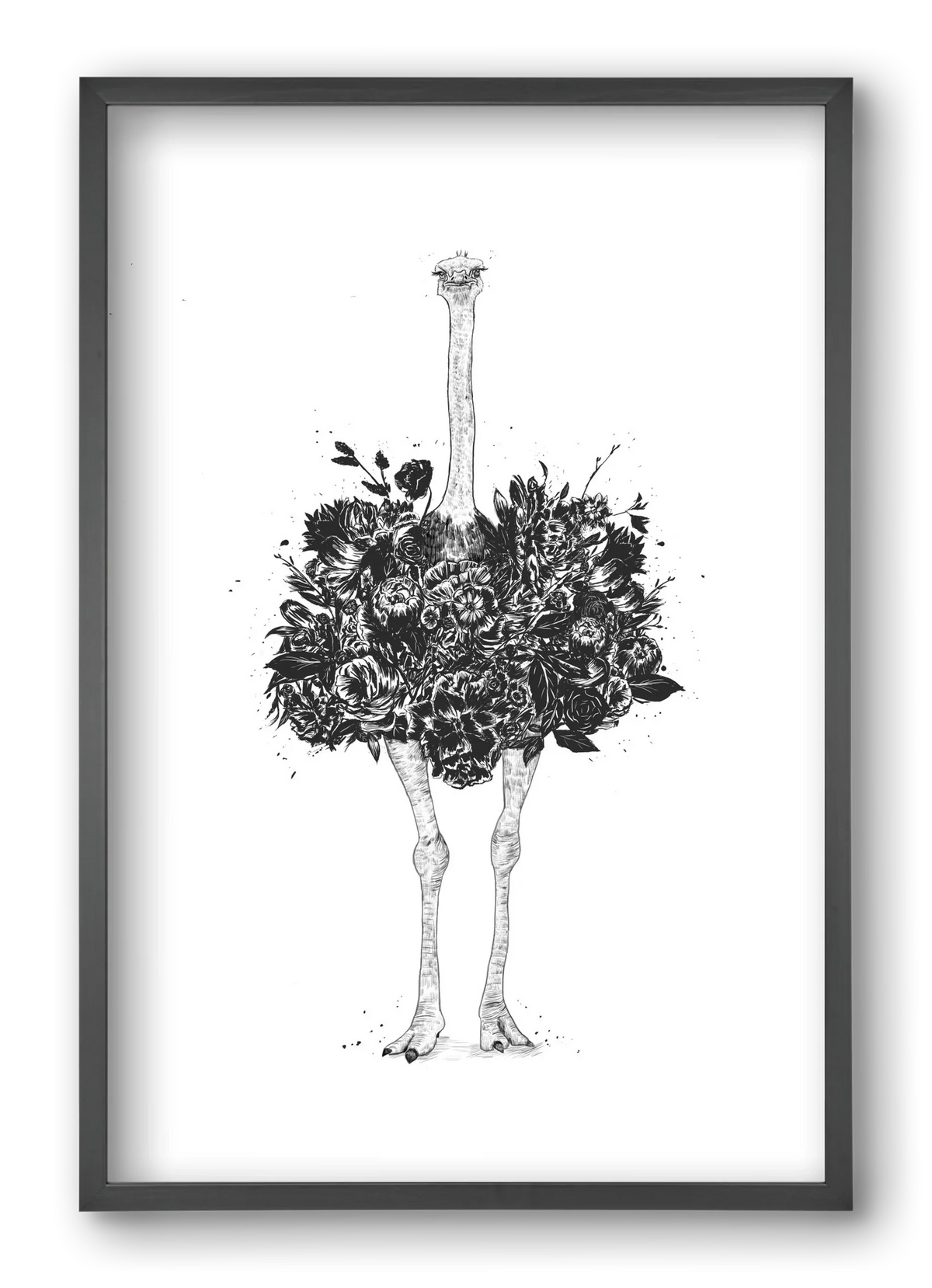 Floral ostrich - artbridge