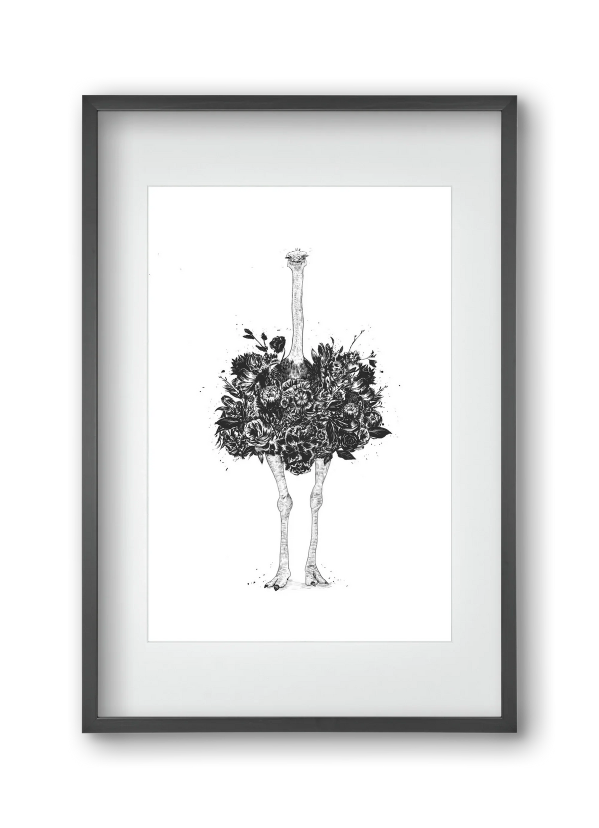 Floral ostrich - artbridge