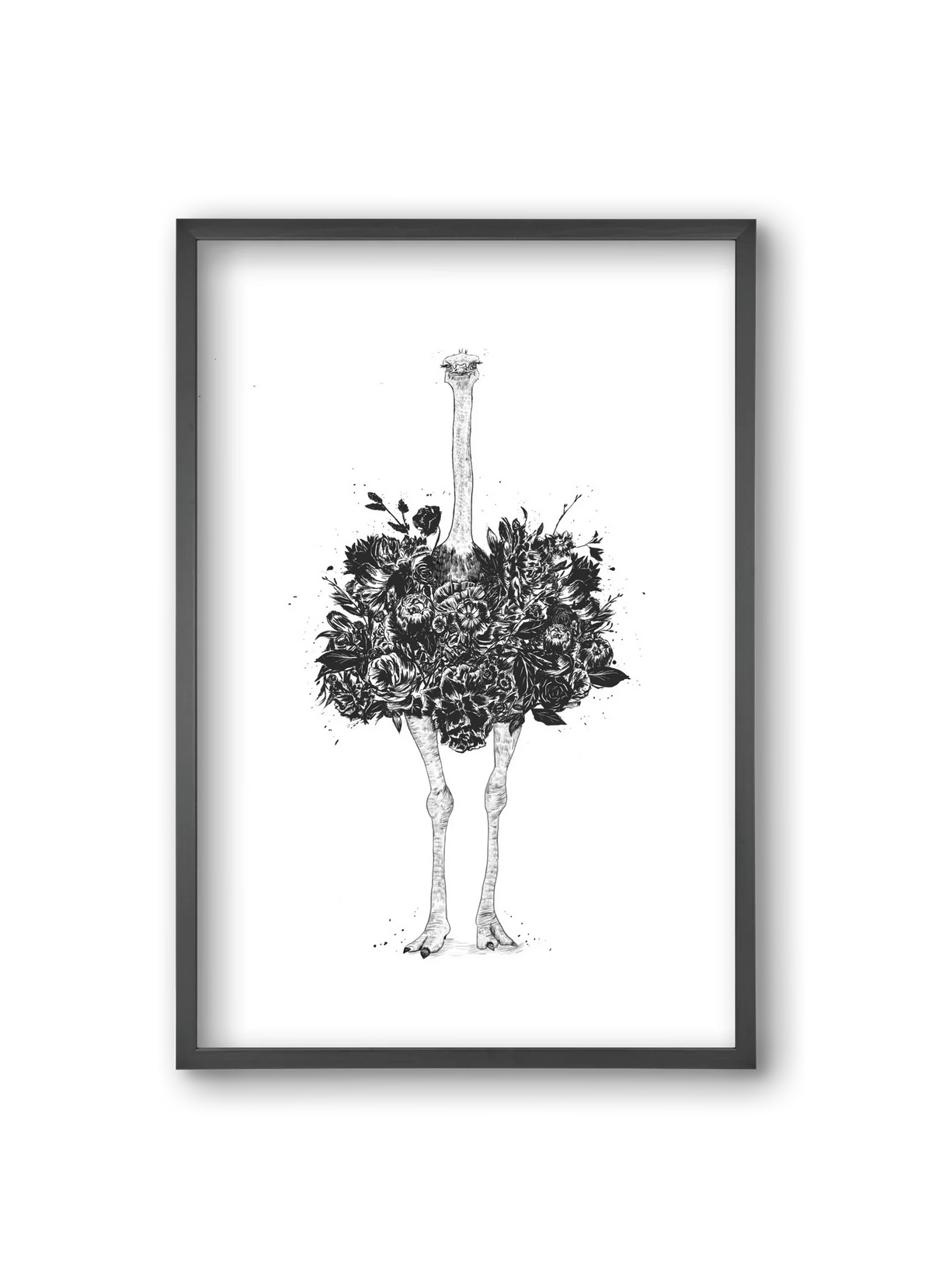 Floral ostrich - artbridge