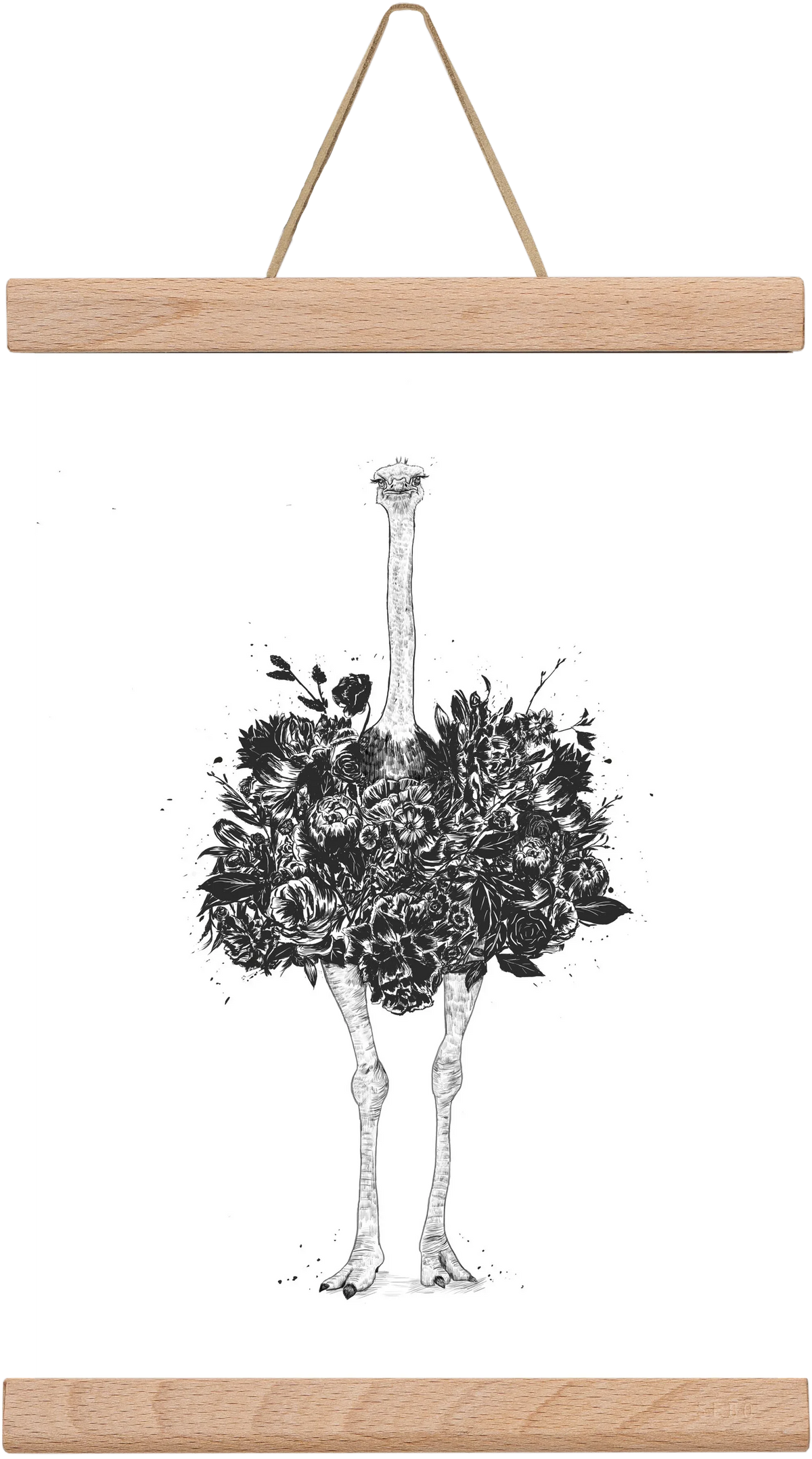 Floral ostrich - artbridge