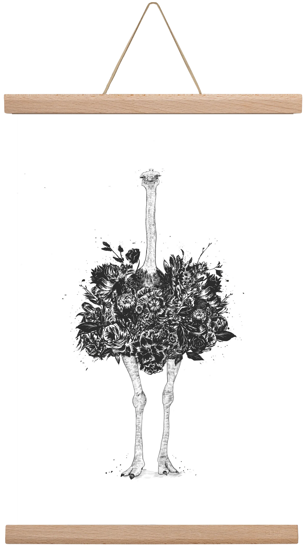 Floral ostrich - artbridge
