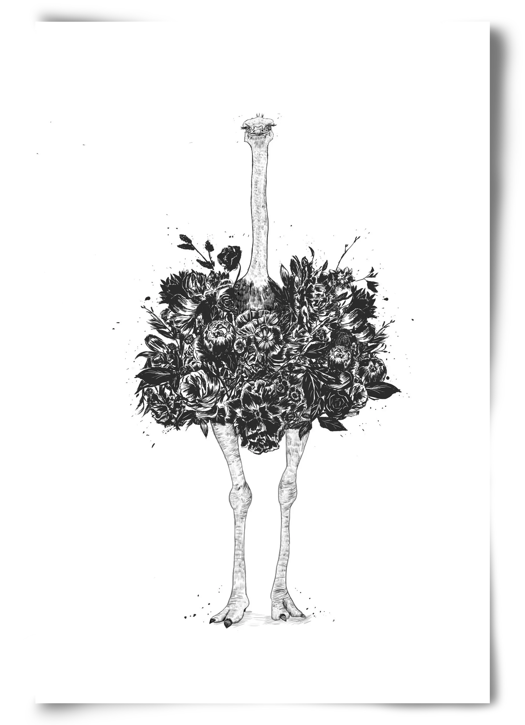 Floral ostrich - artbridge