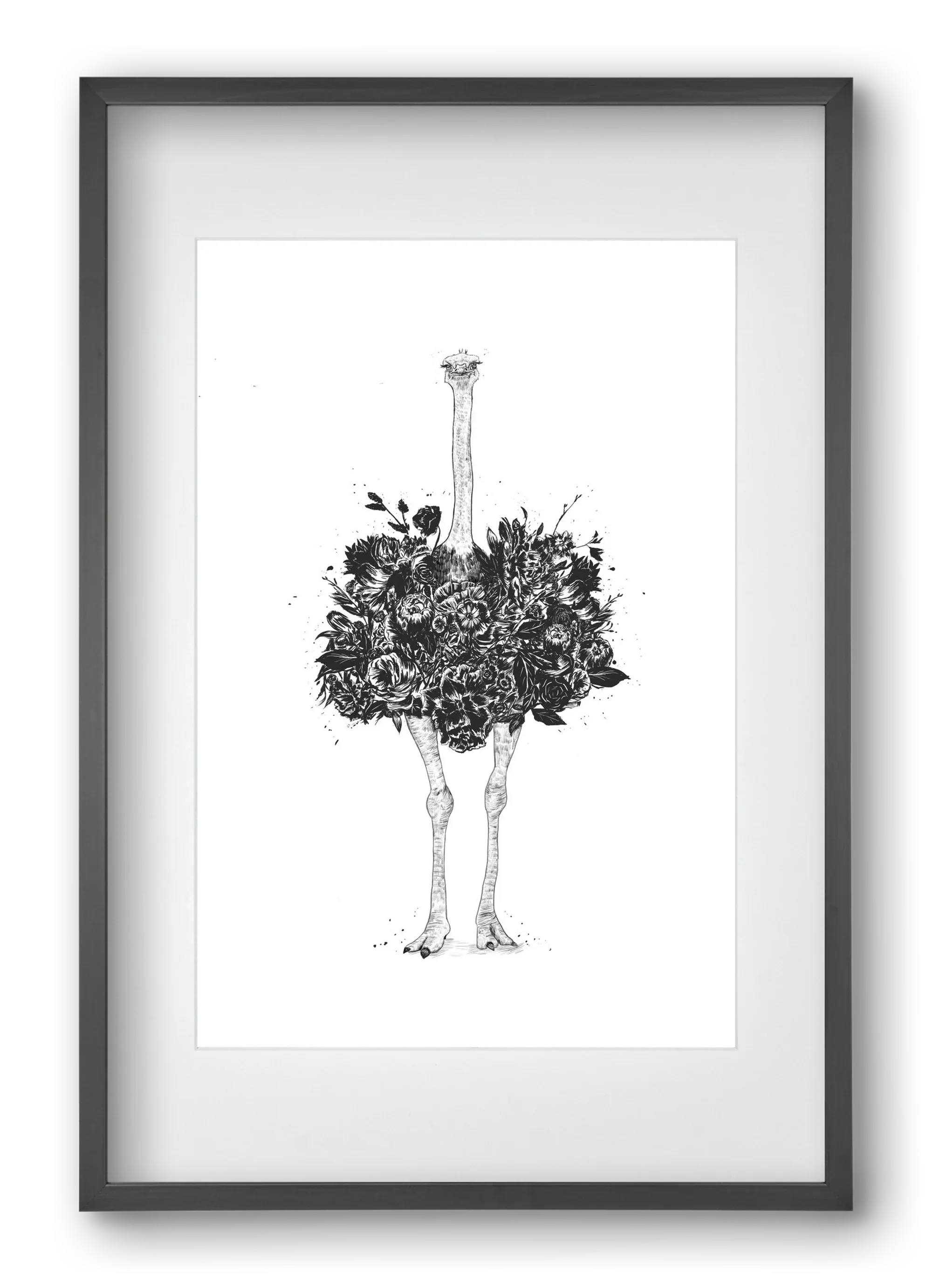 Floral ostrich - artbridge