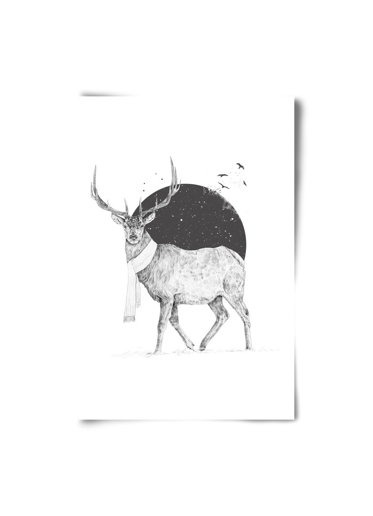 Winter is all around - artbridge
