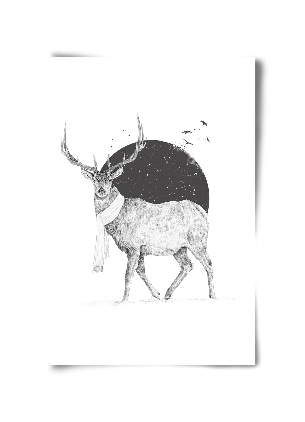 Winter is all around - artbridge