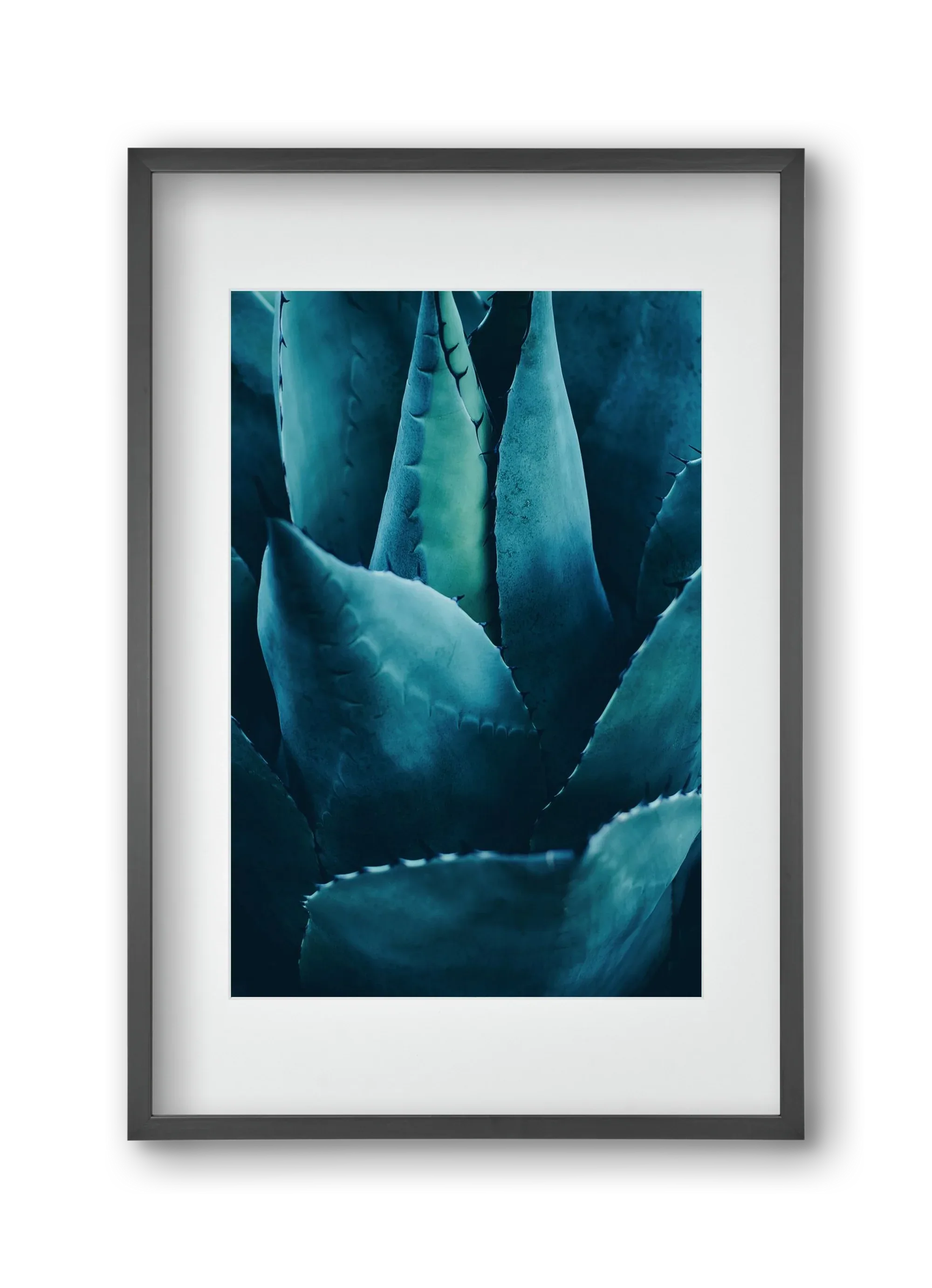 Cactus no. 4 - artbridge