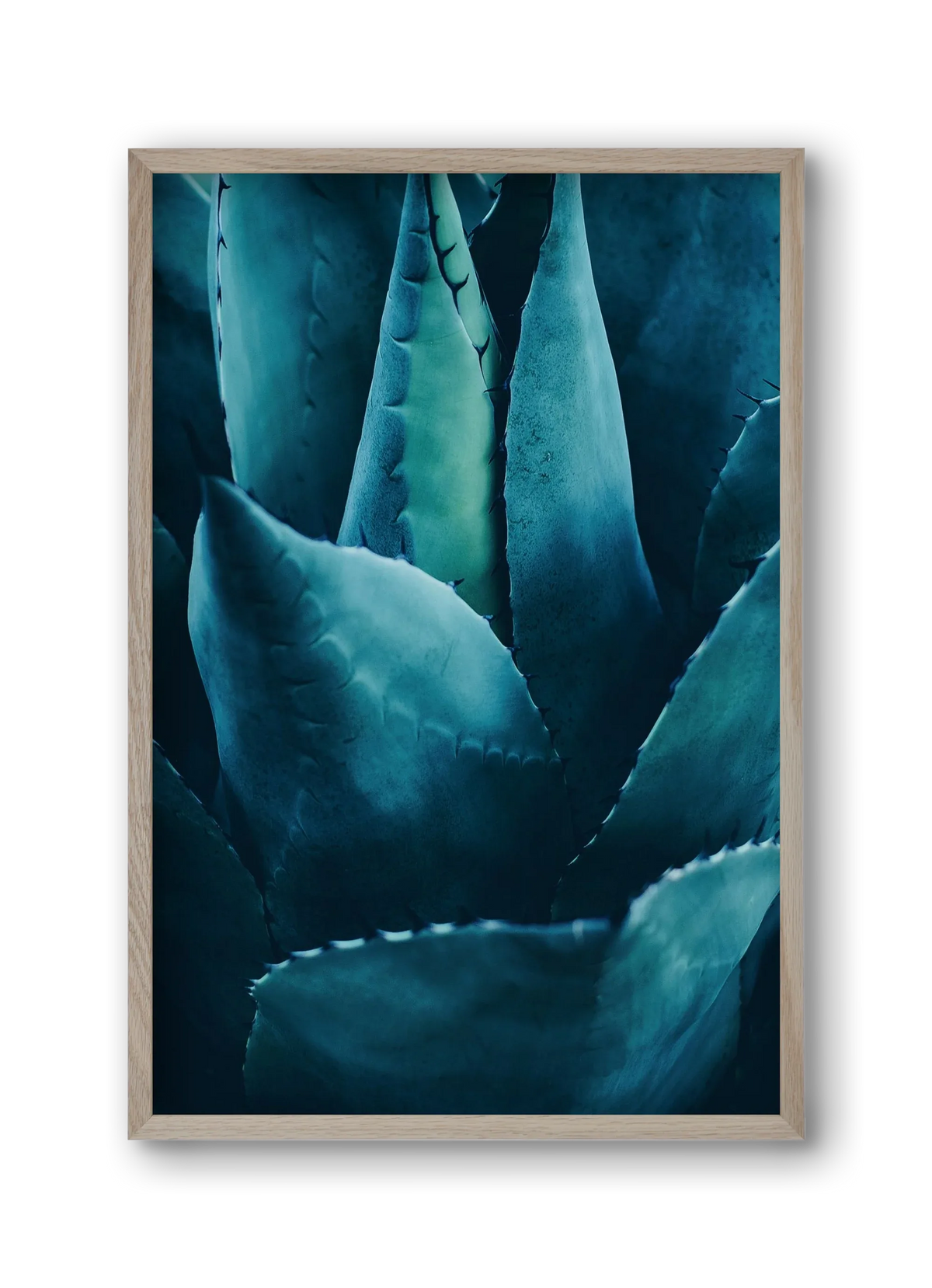 Cactus no. 4 - artbridge