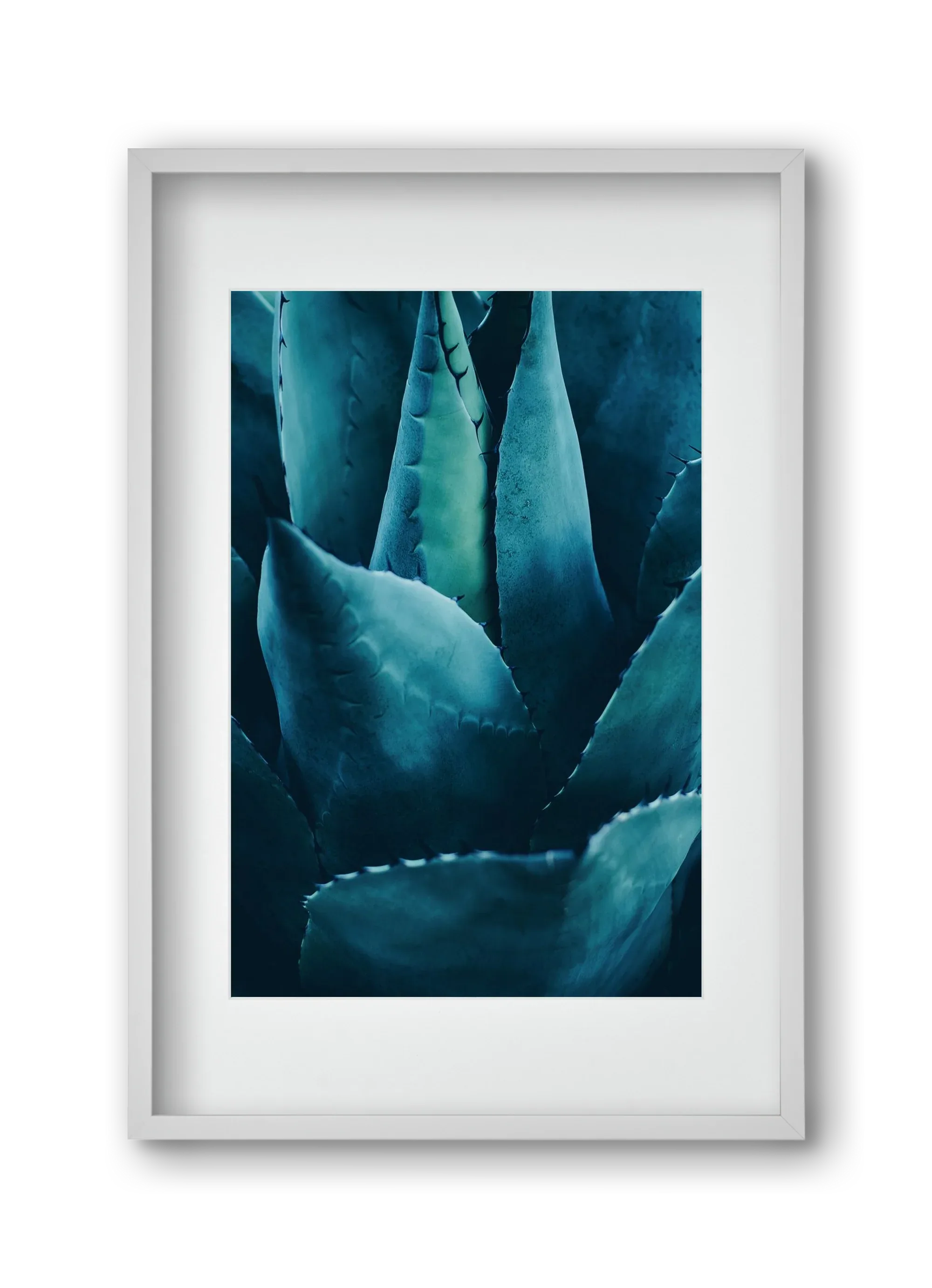 Cactus no. 4 - artbridge