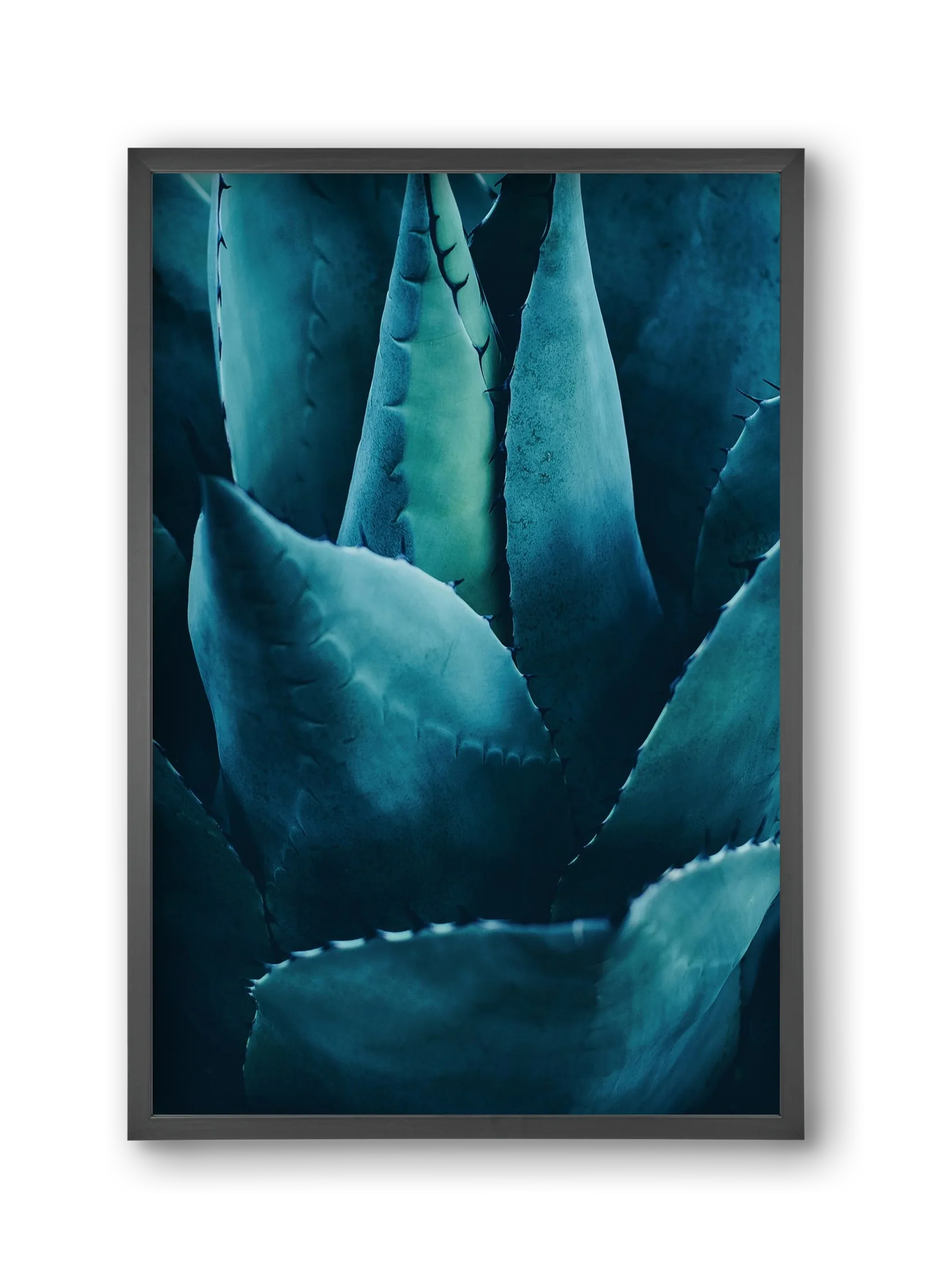 Cactus no. 4 - artbridge