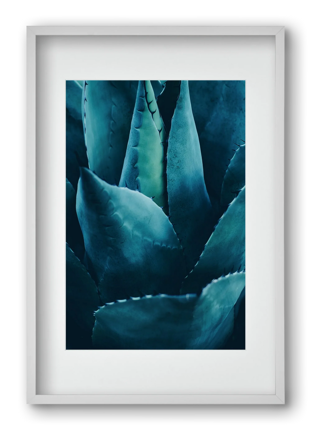 Cactus no. 4 - artbridge