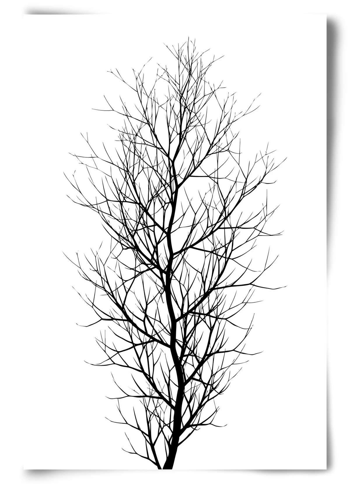 The tree - artbridge