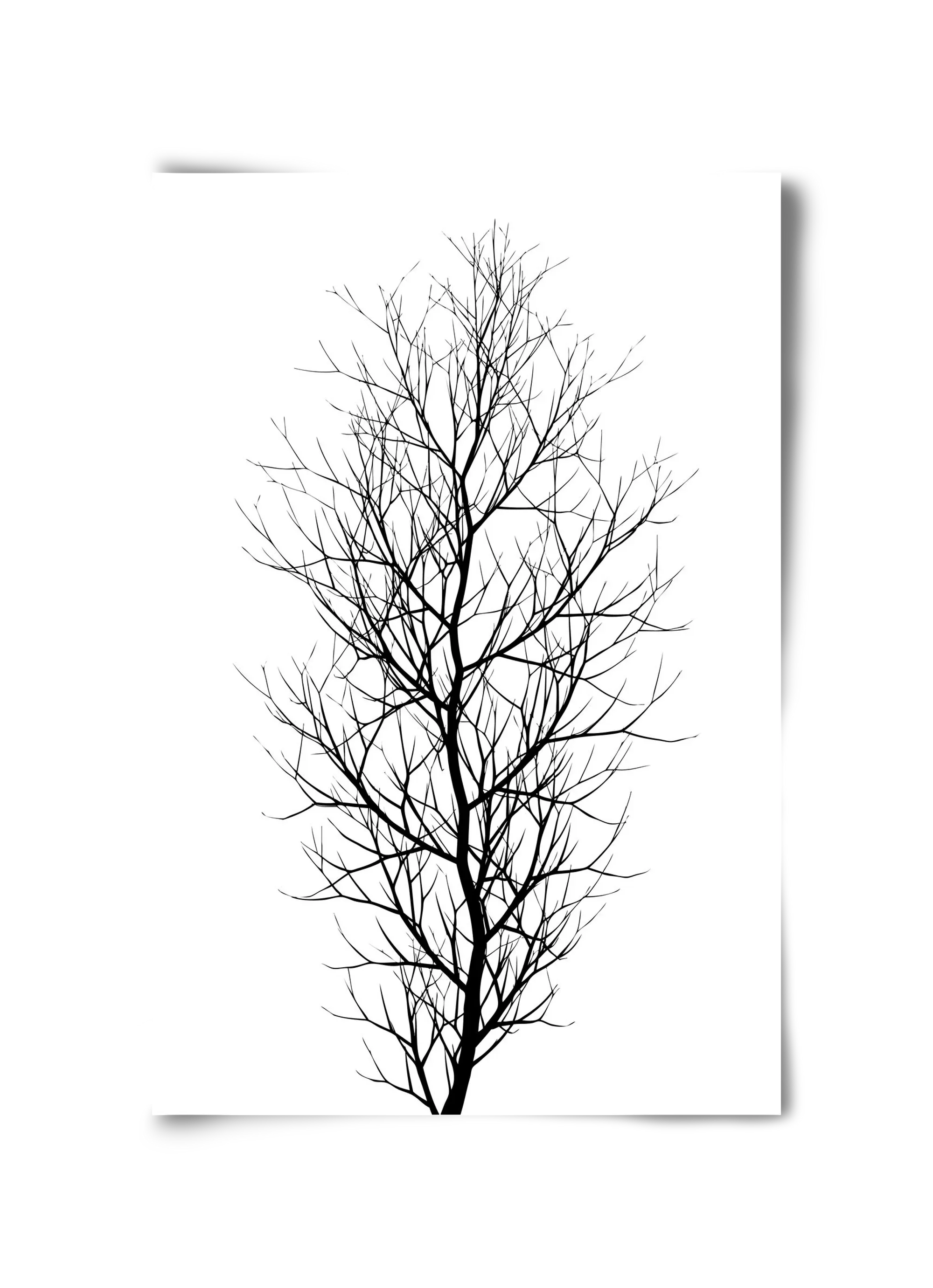 The tree - artbridge