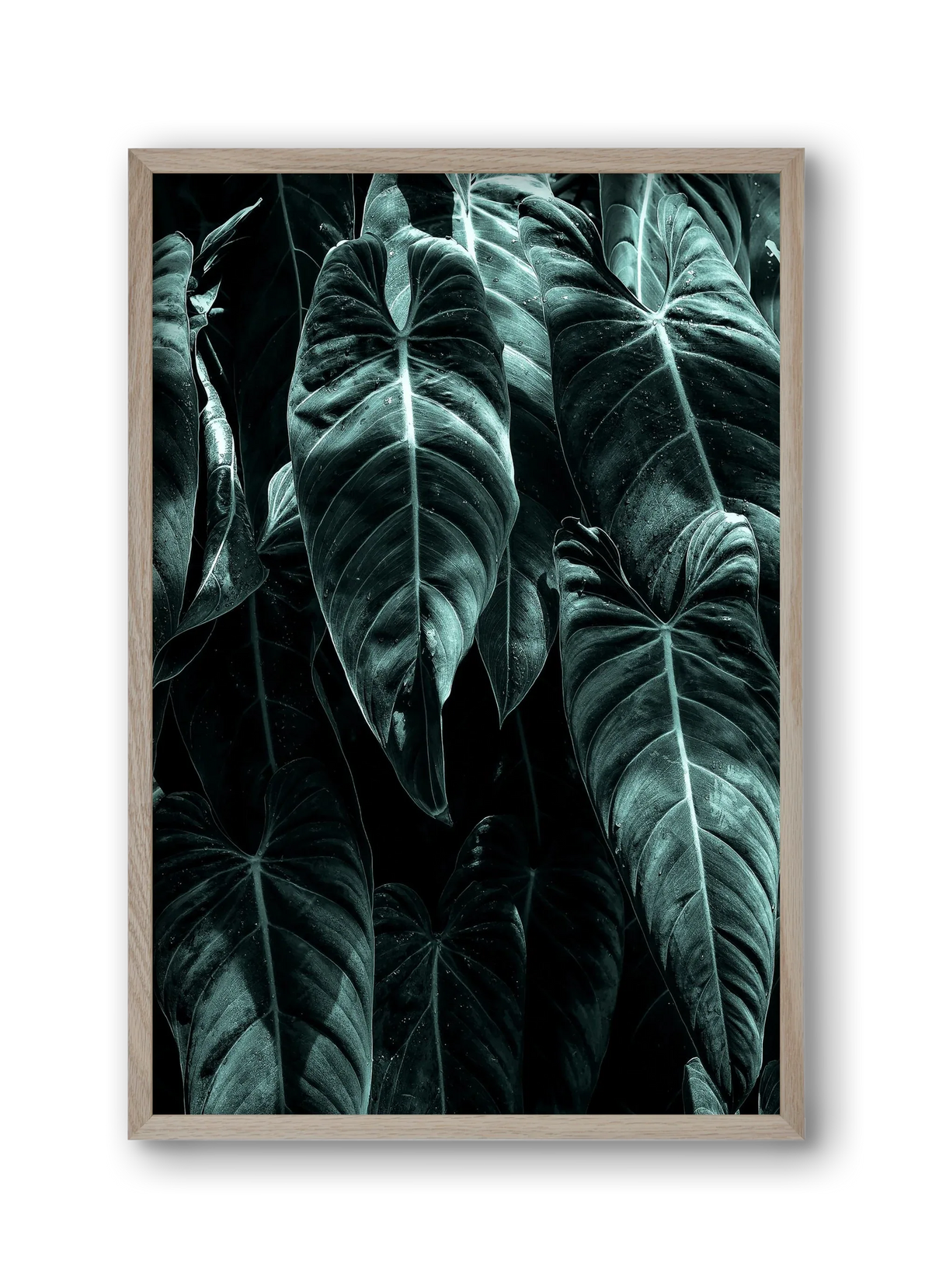 Jungle - artbridge