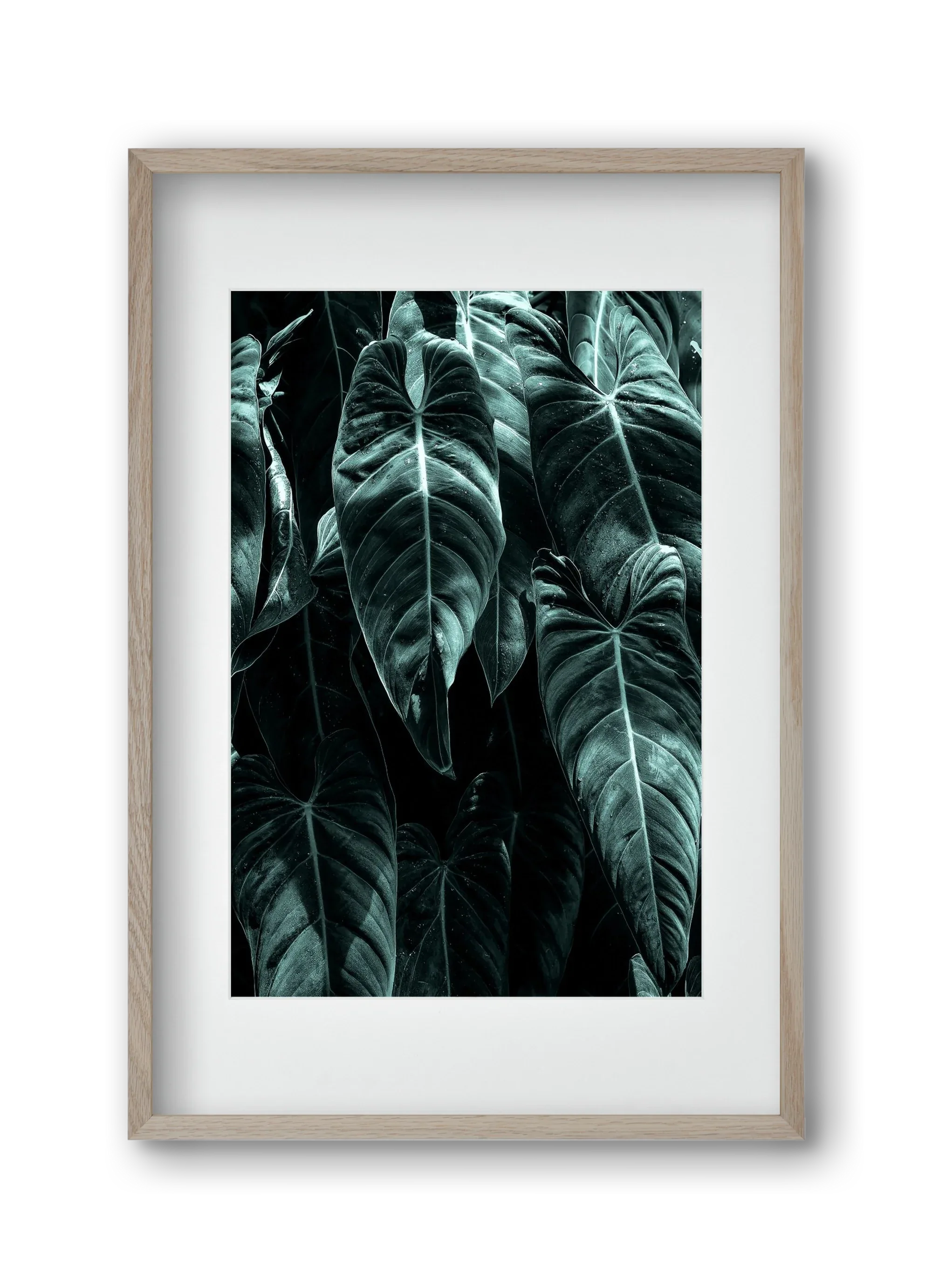 Jungle - artbridge