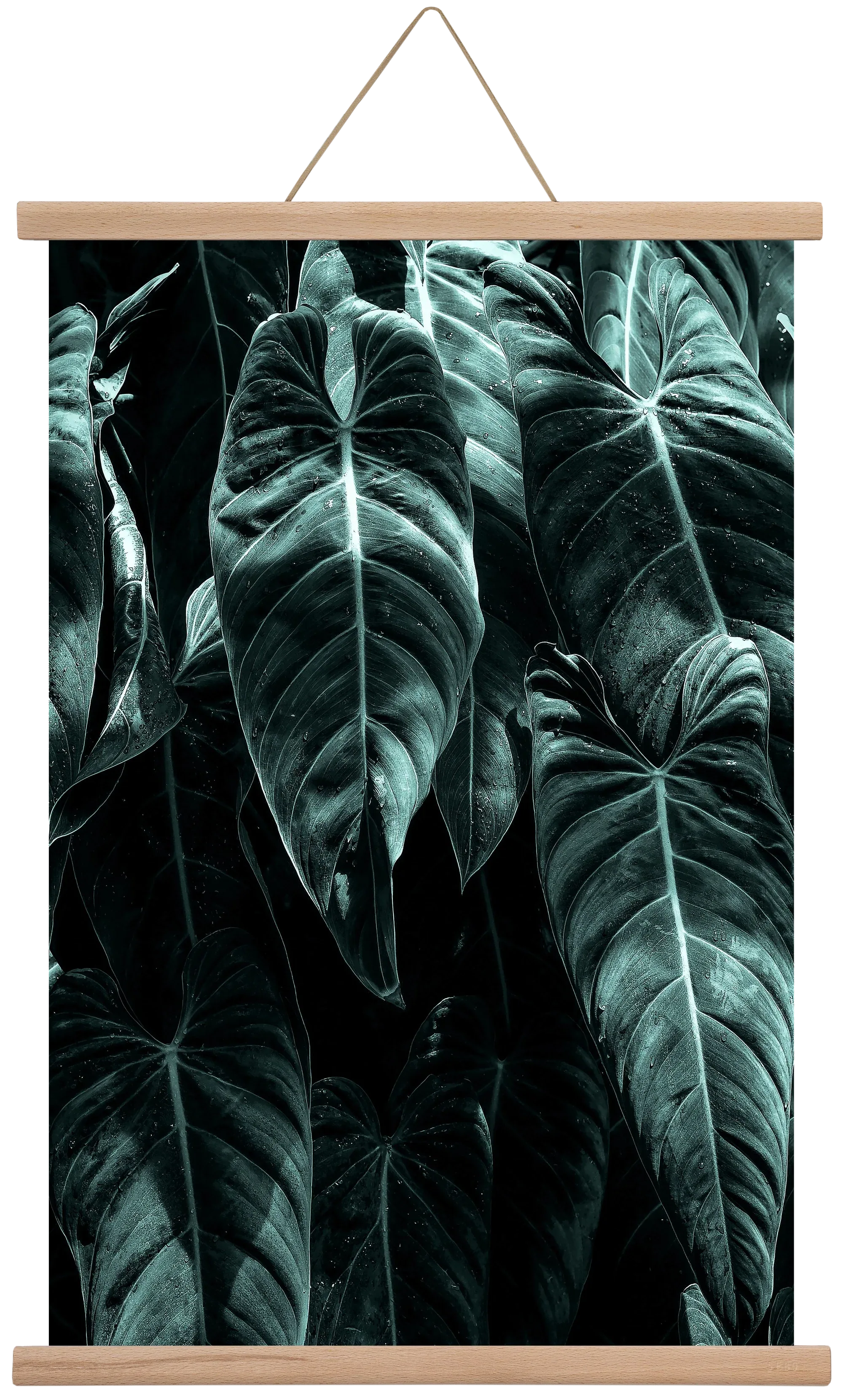 Jungle - artbridge