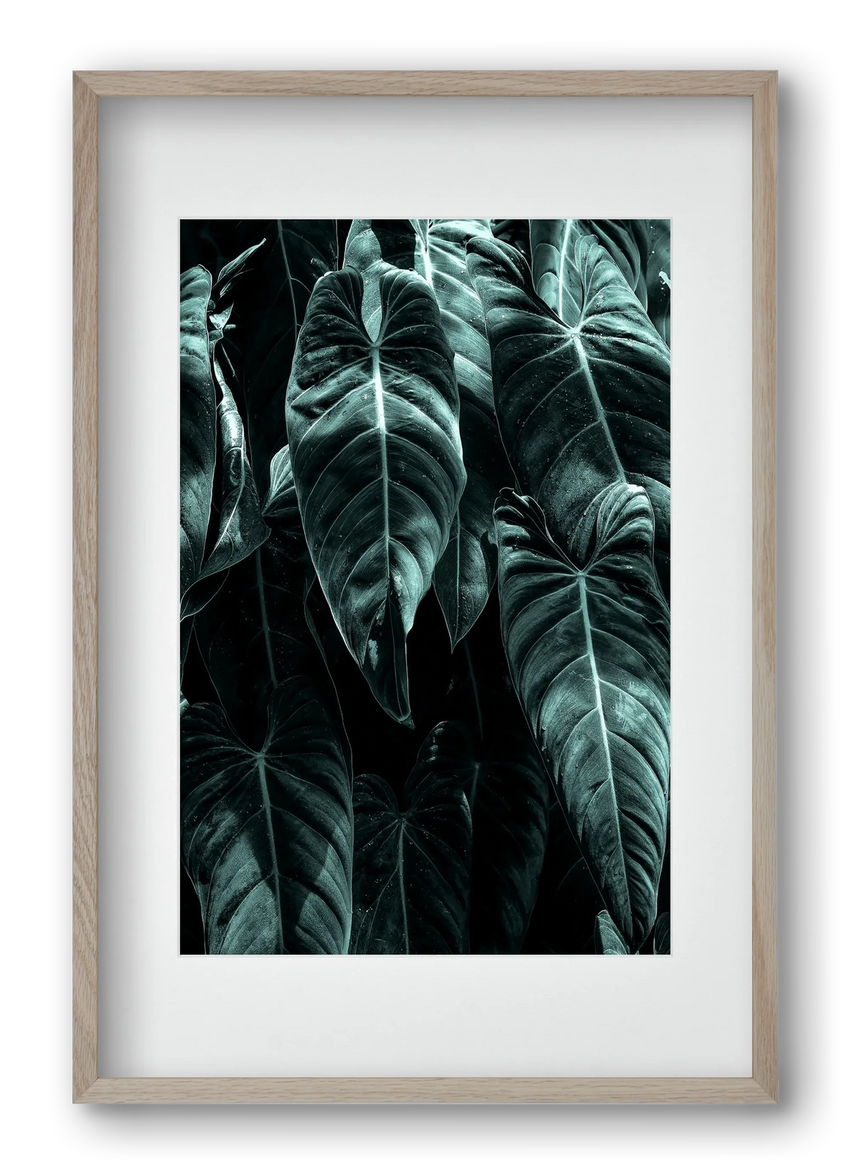 Jungle - artbridge