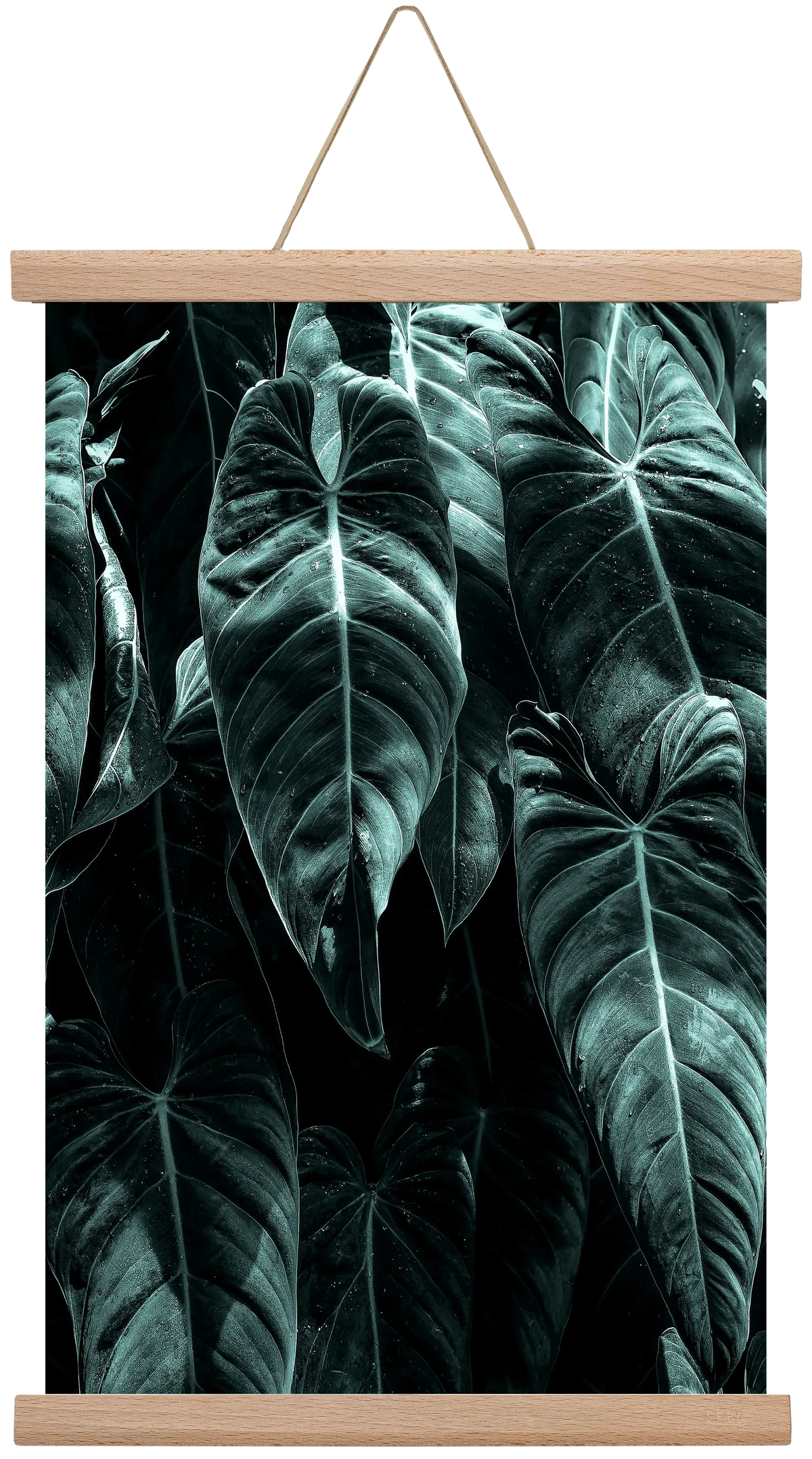 Jungle - artbridge