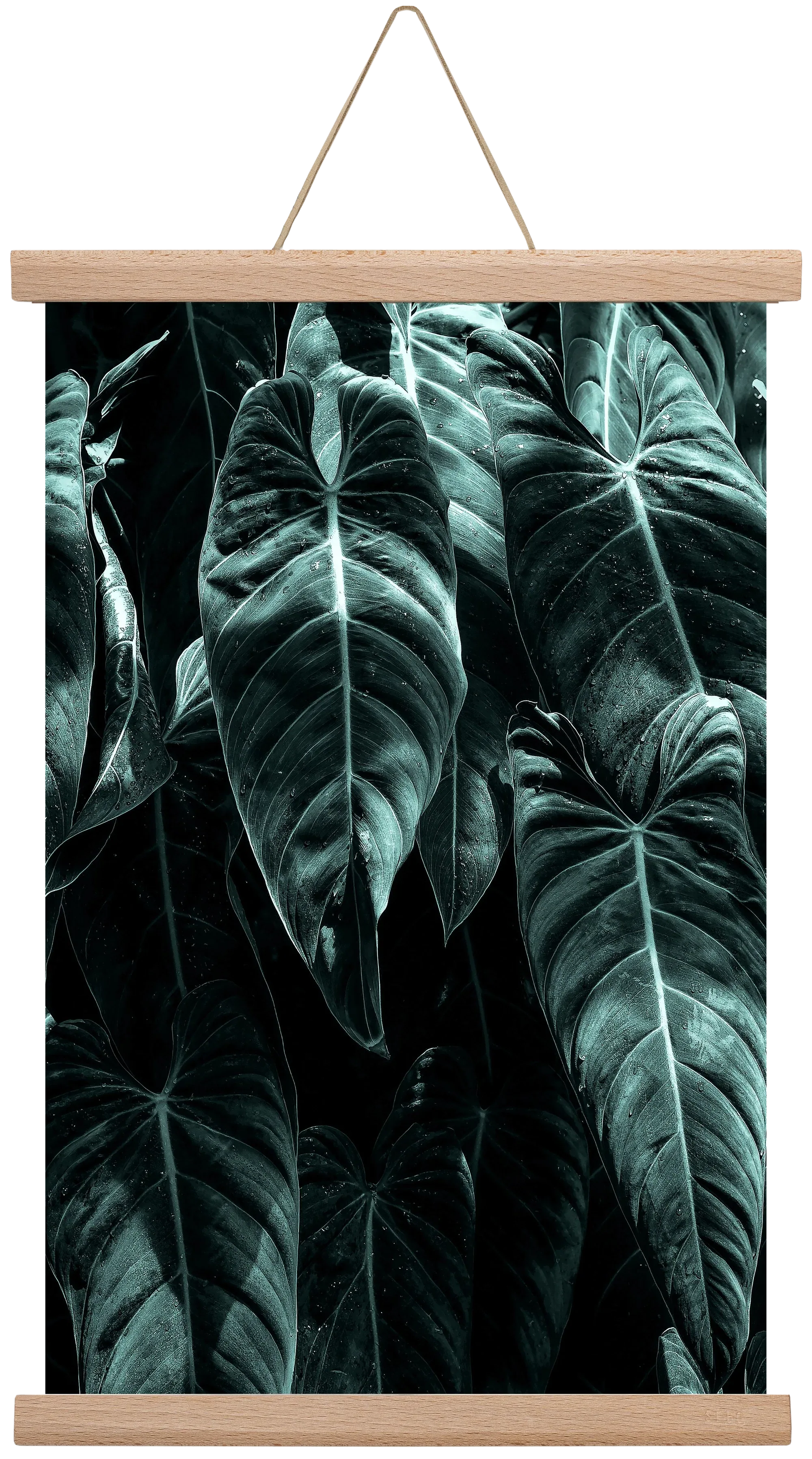 Jungle - artbridge