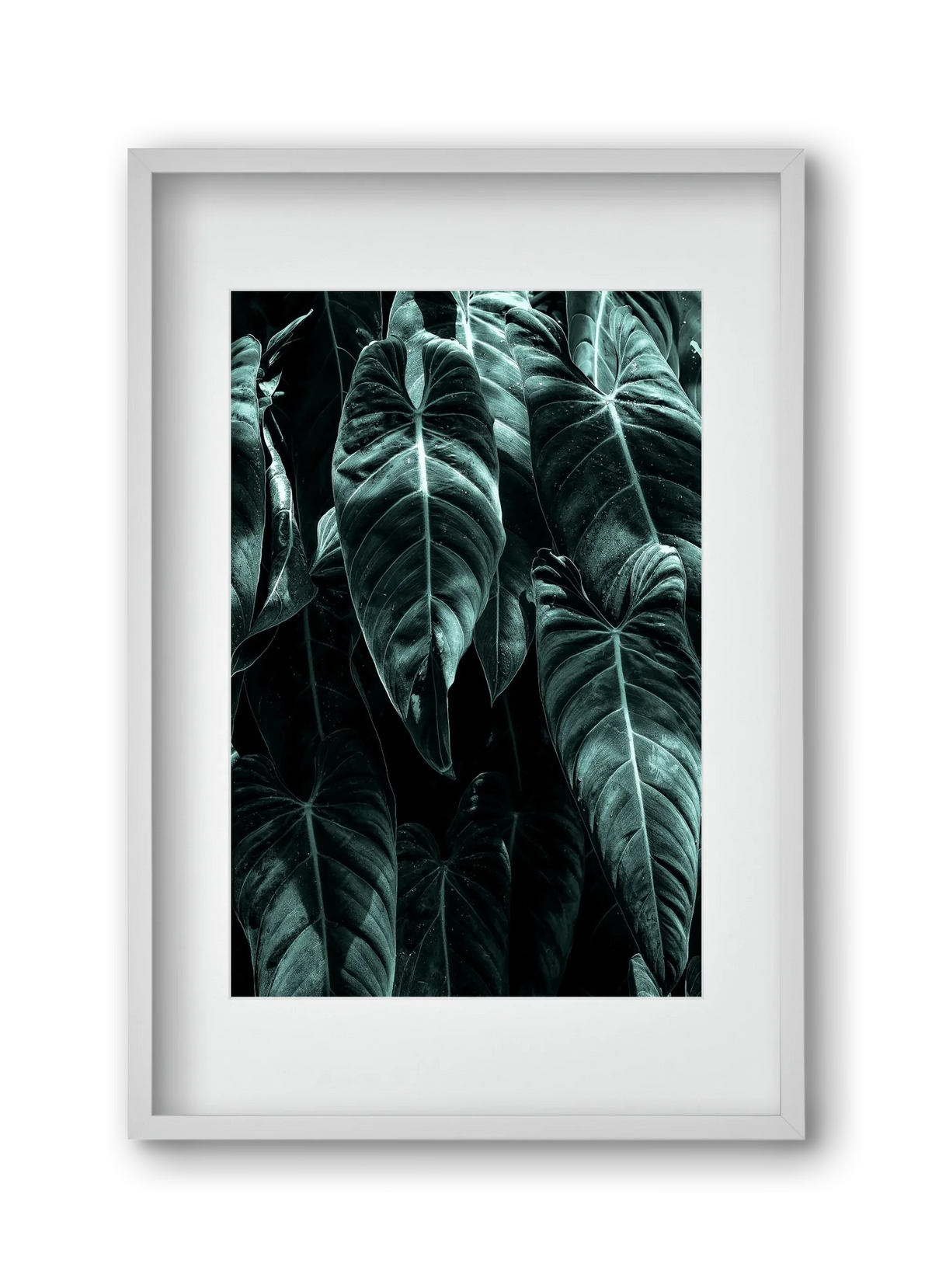 Jungle - artbridge