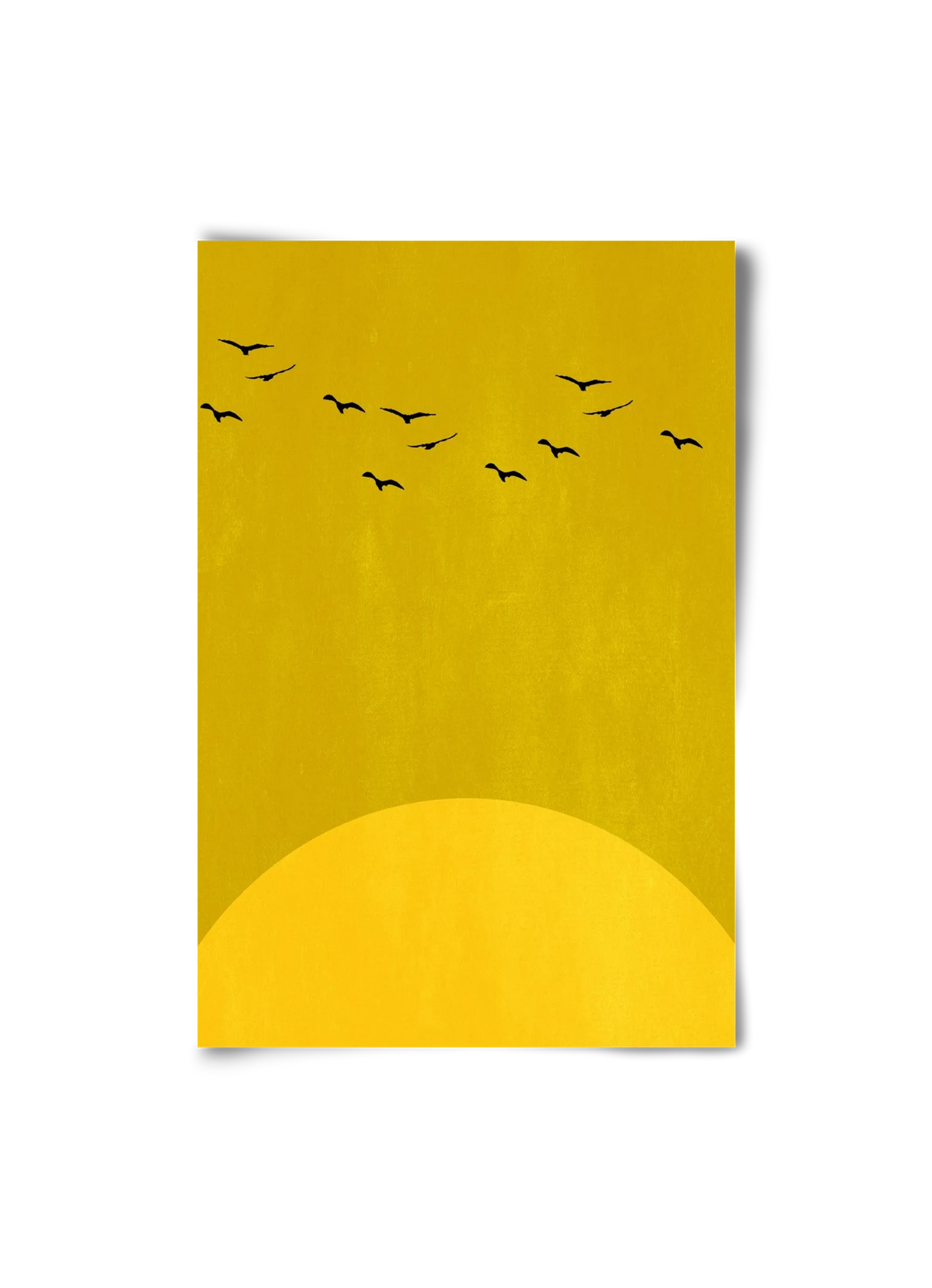 Sundance - artbridge
