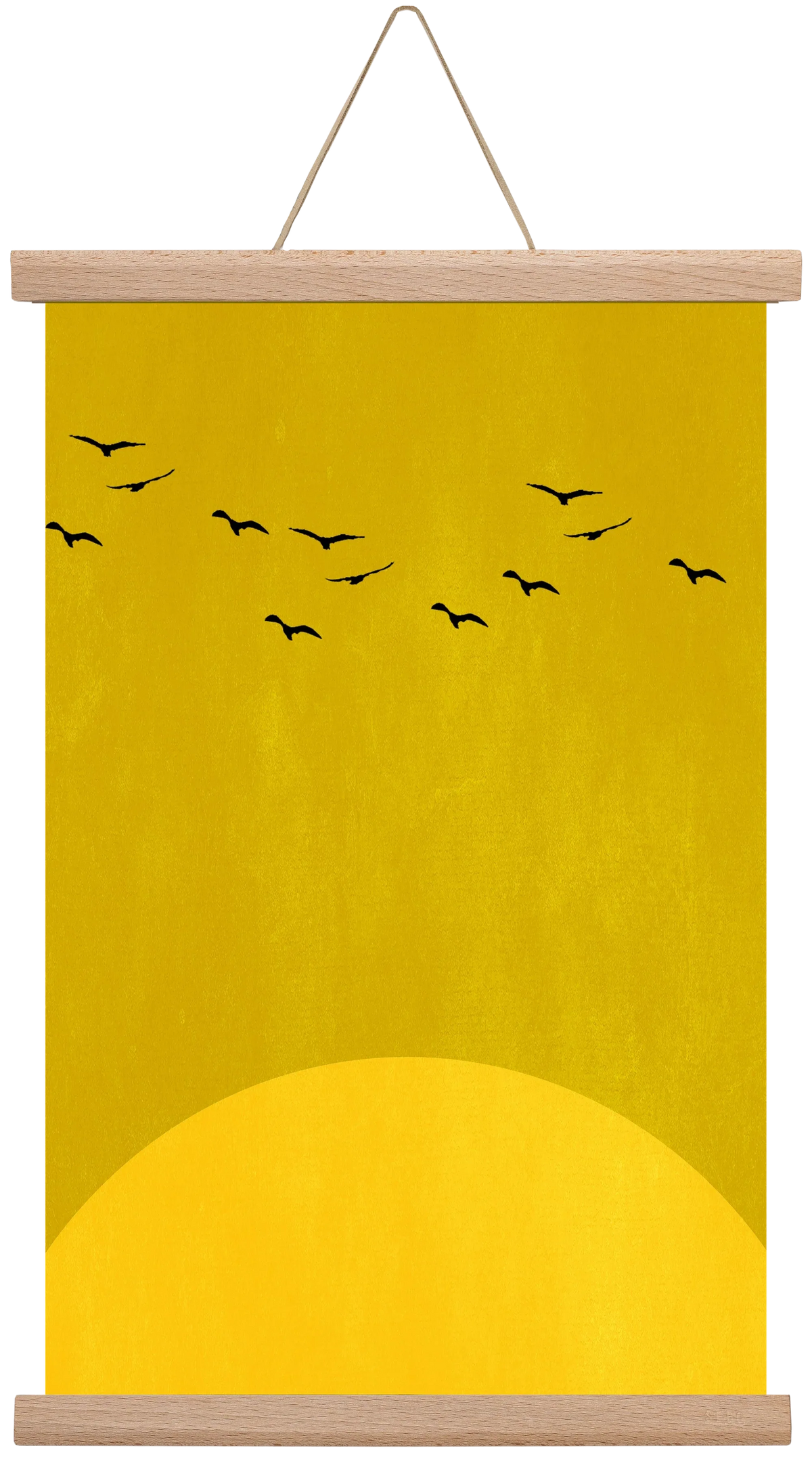 Sundance - artbridge