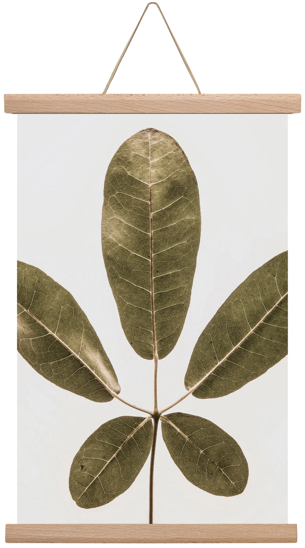 Autumn leaf - artbridge