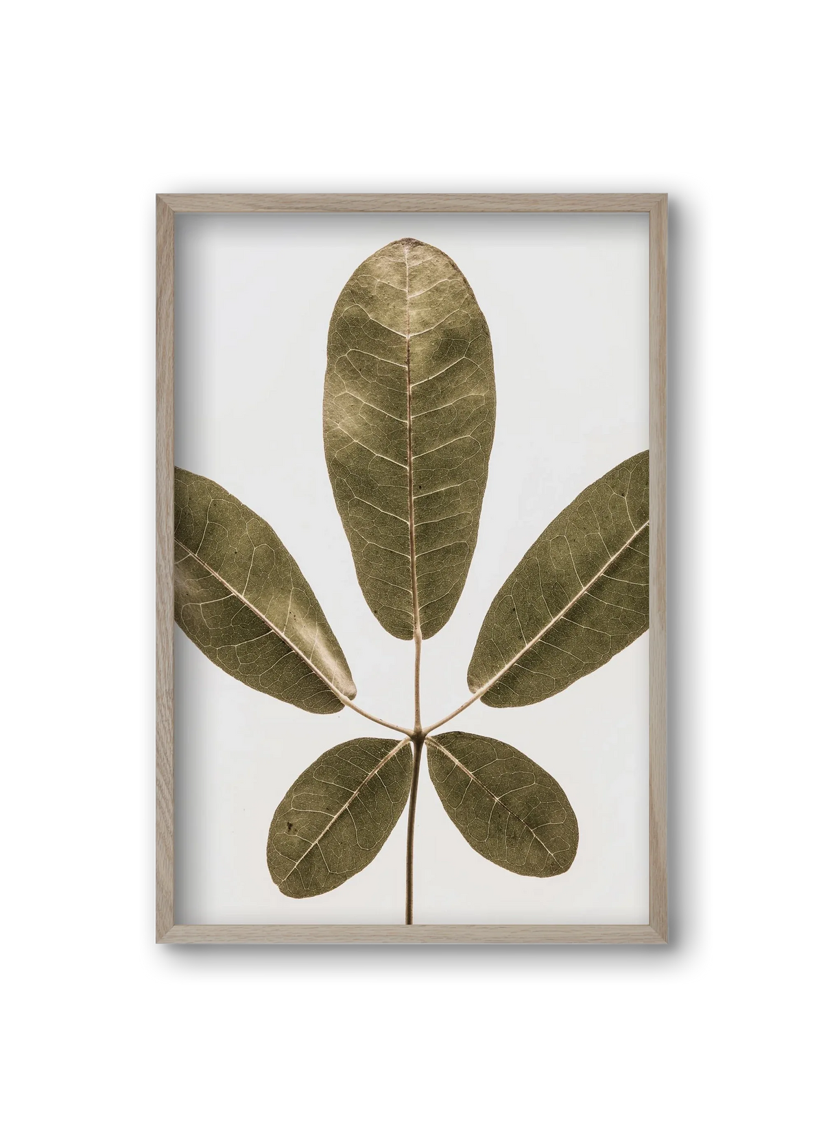 Autumn leaf - artbridge