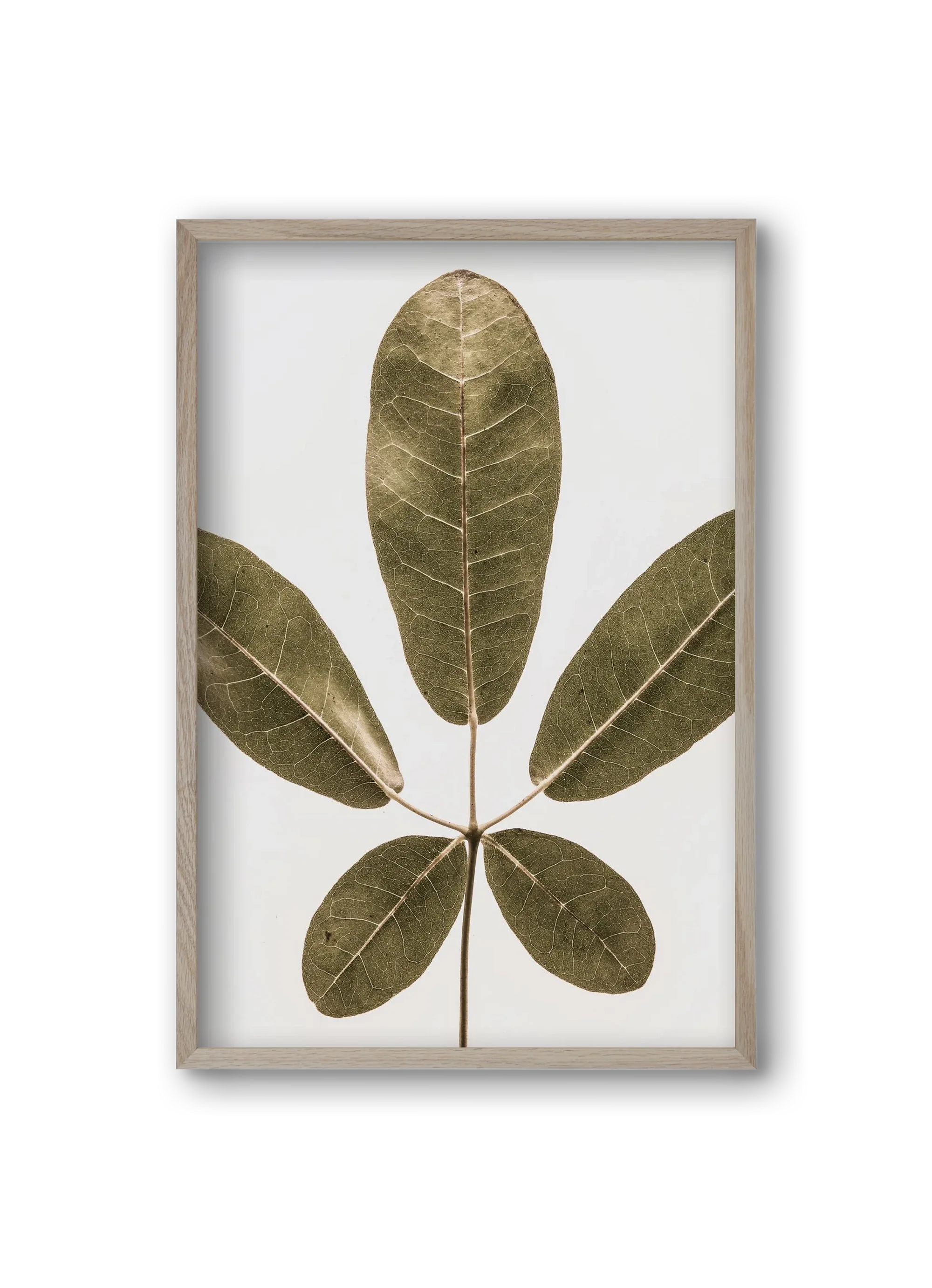 Autumn leaf - artbridge