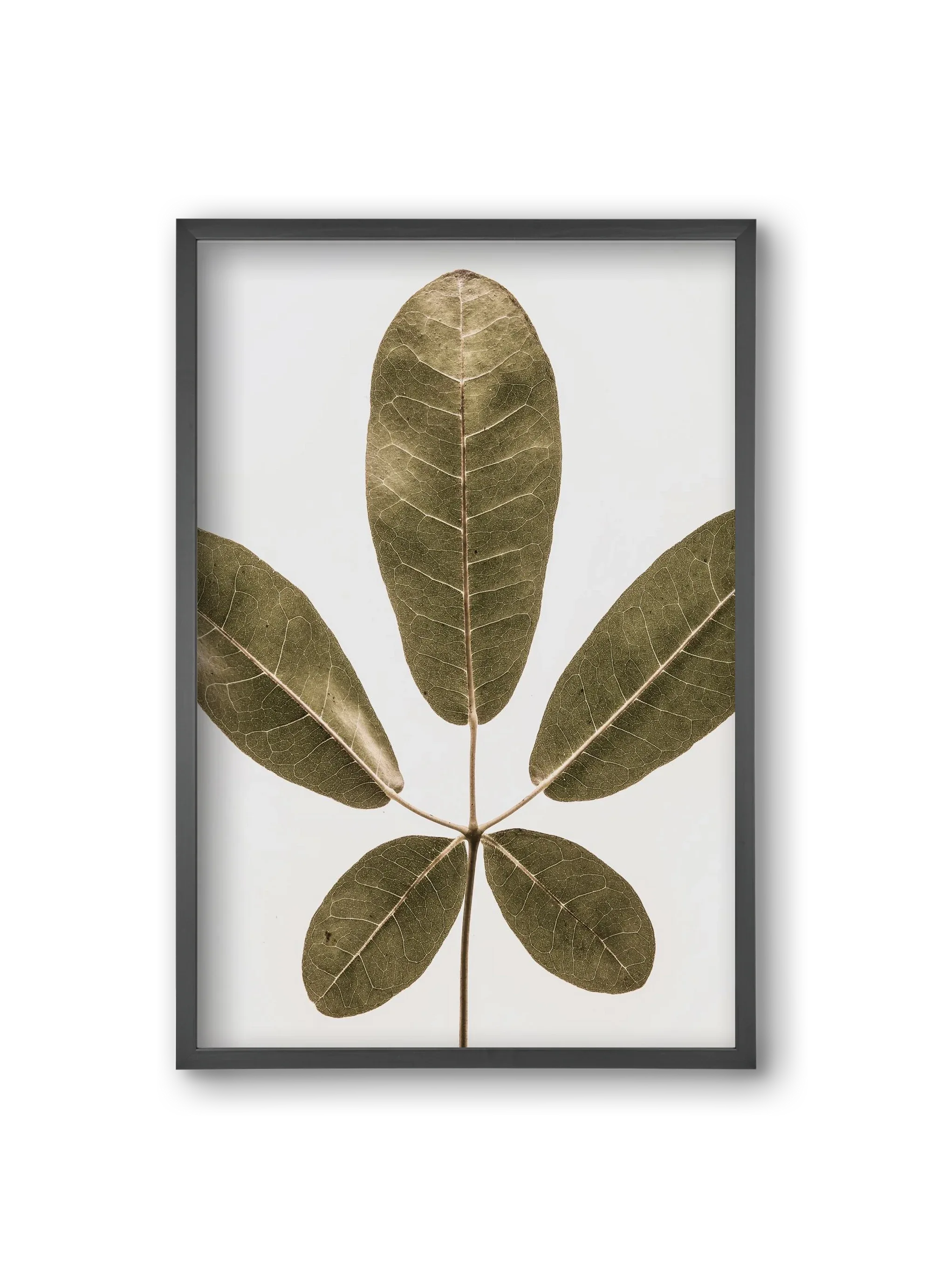 Autumn leaf - artbridge