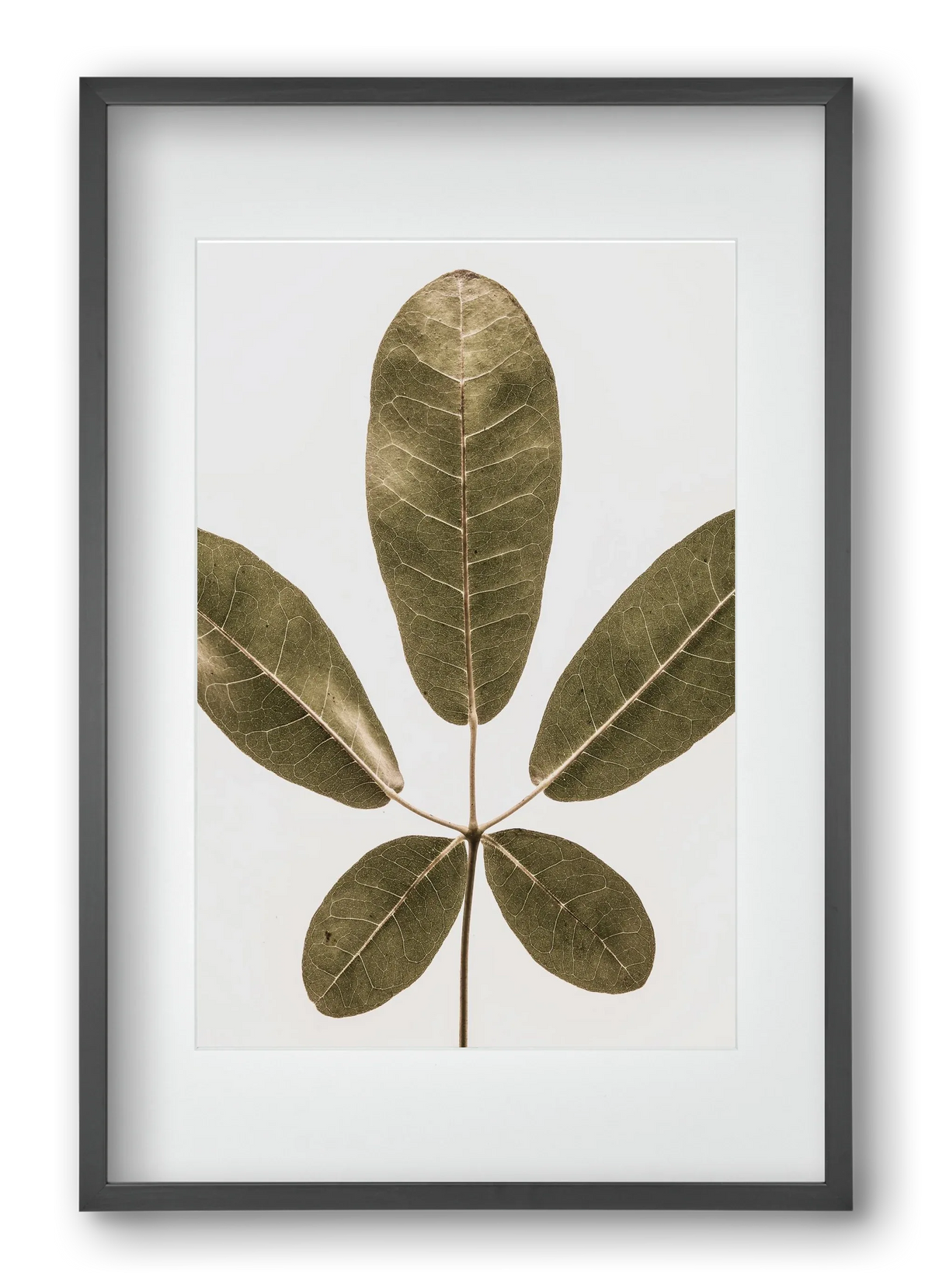Autumn leaf - artbridge