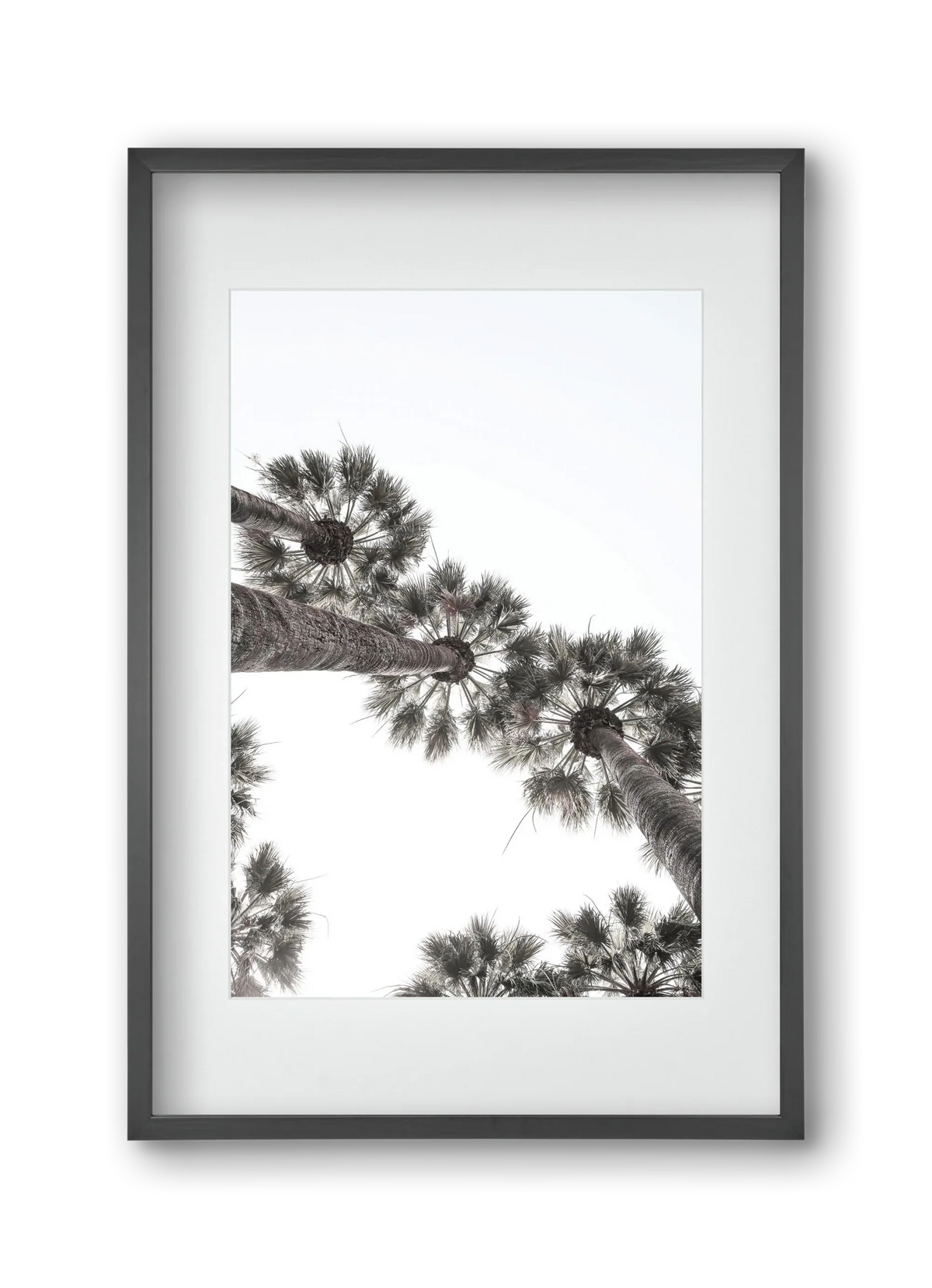 Bodrum Plams - artbridge